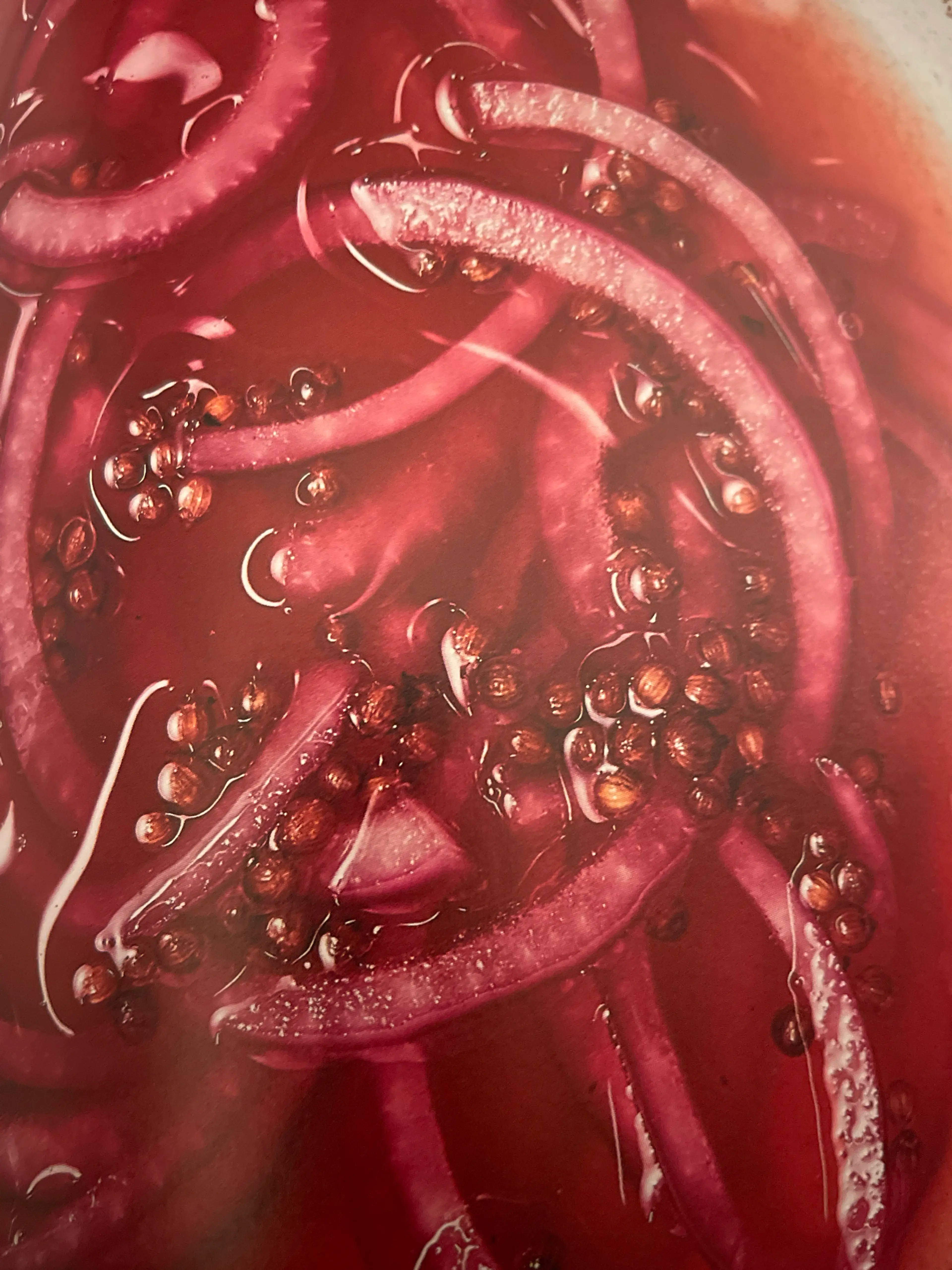 Quick Pickled Red Onions