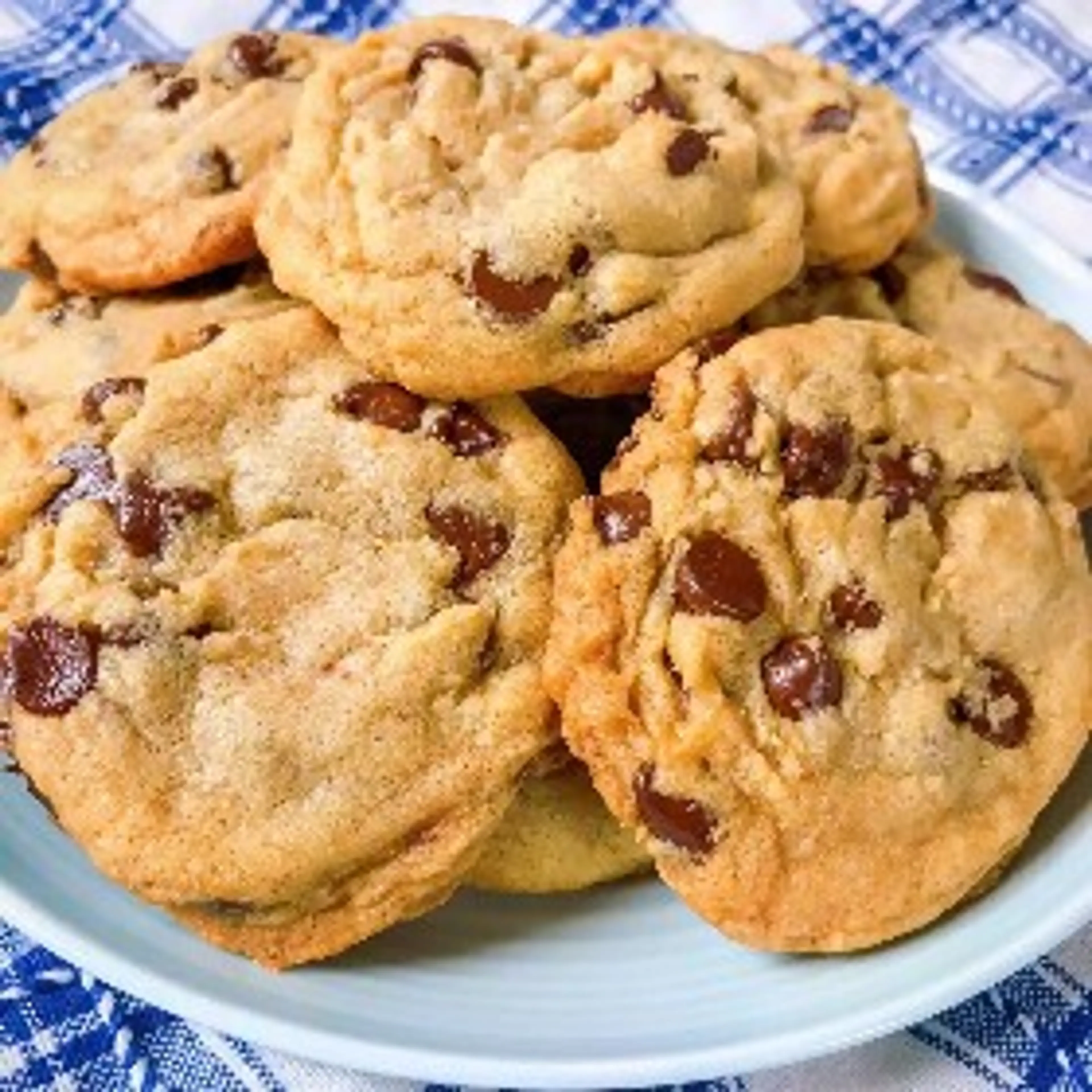 Best Big, Fat, Chewy Chocolate Chip Cookie