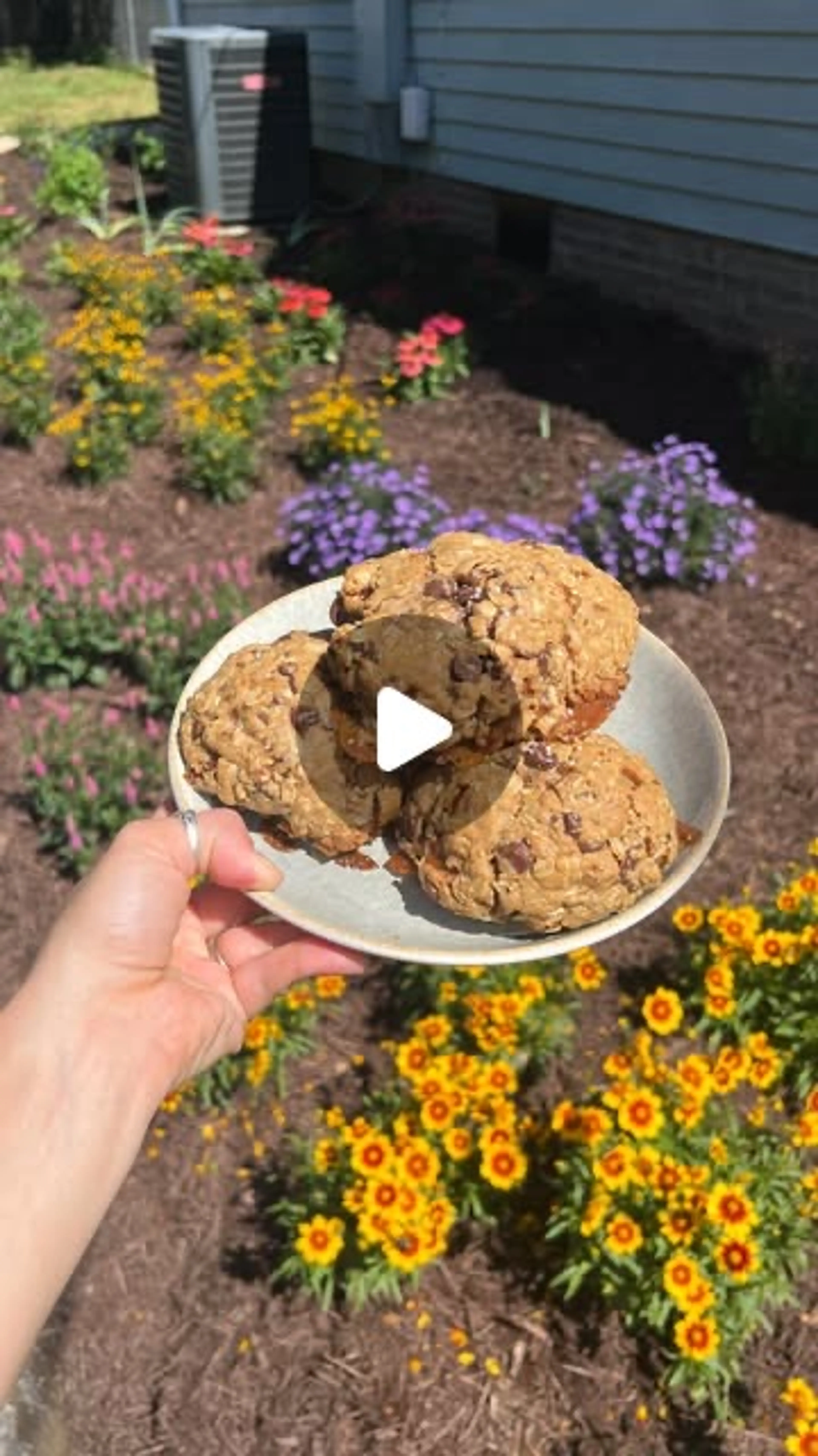 Chocolate Chip Toffee Cookies