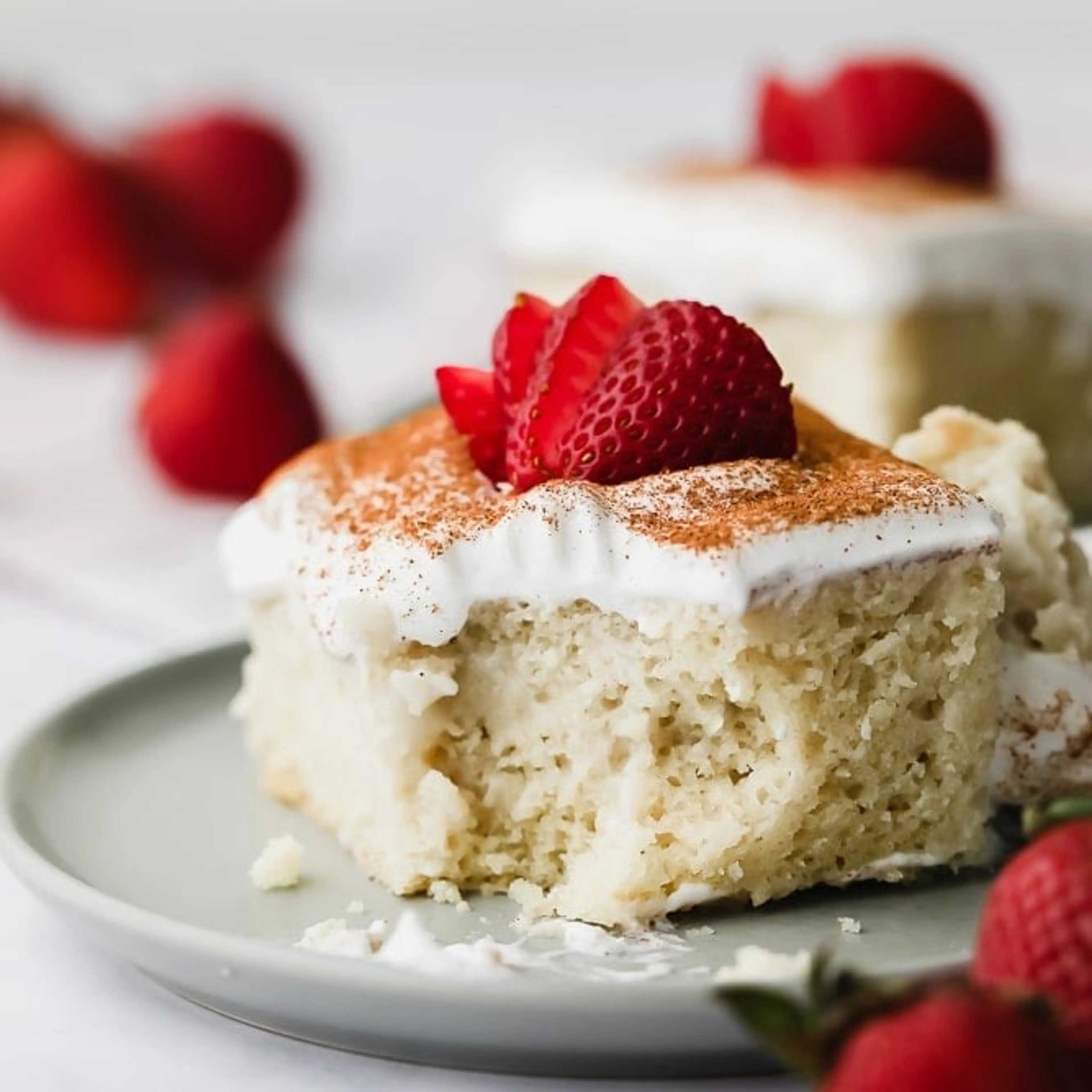 Vegan Tres Leches Cake