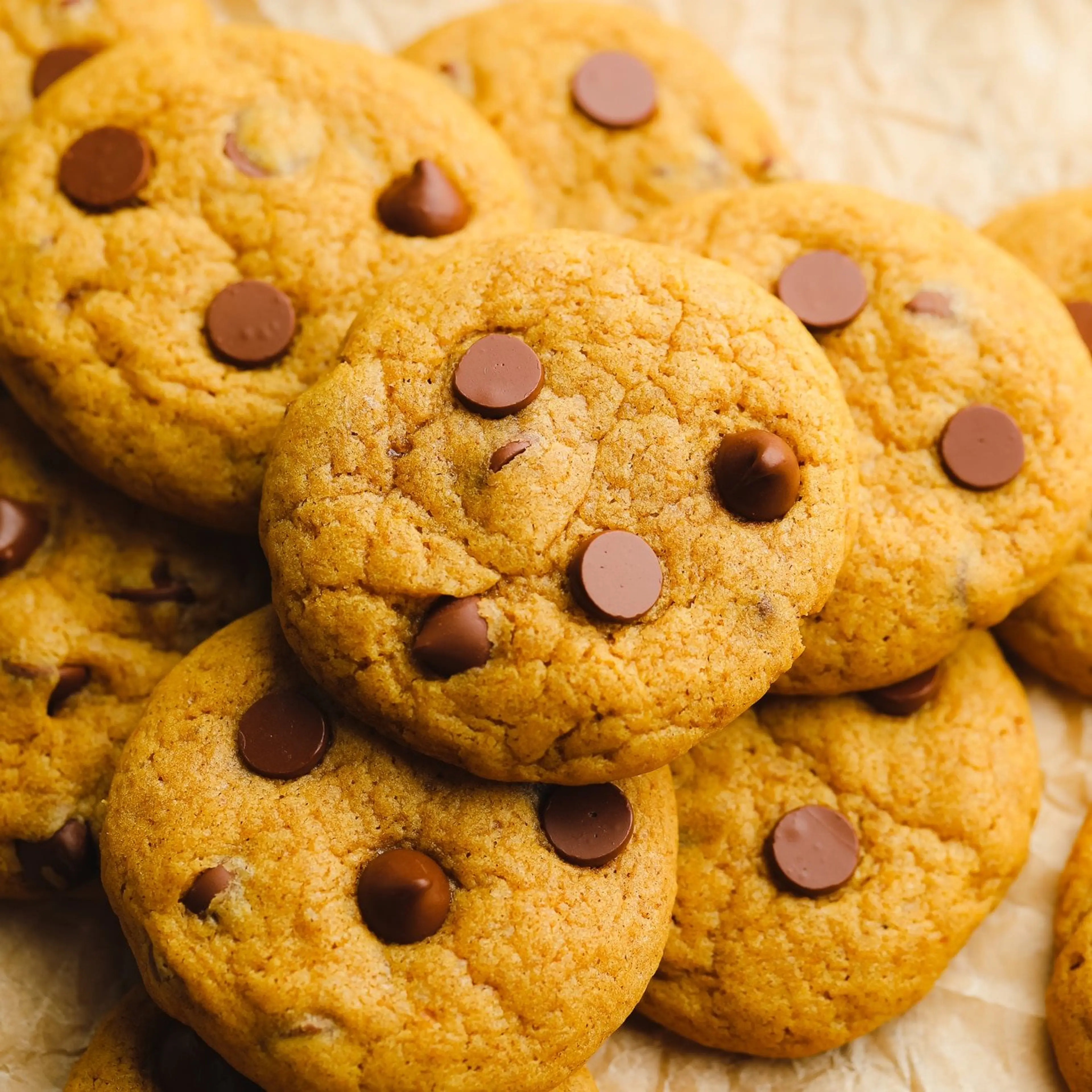Pumpkin Chocolate Chip Cookies