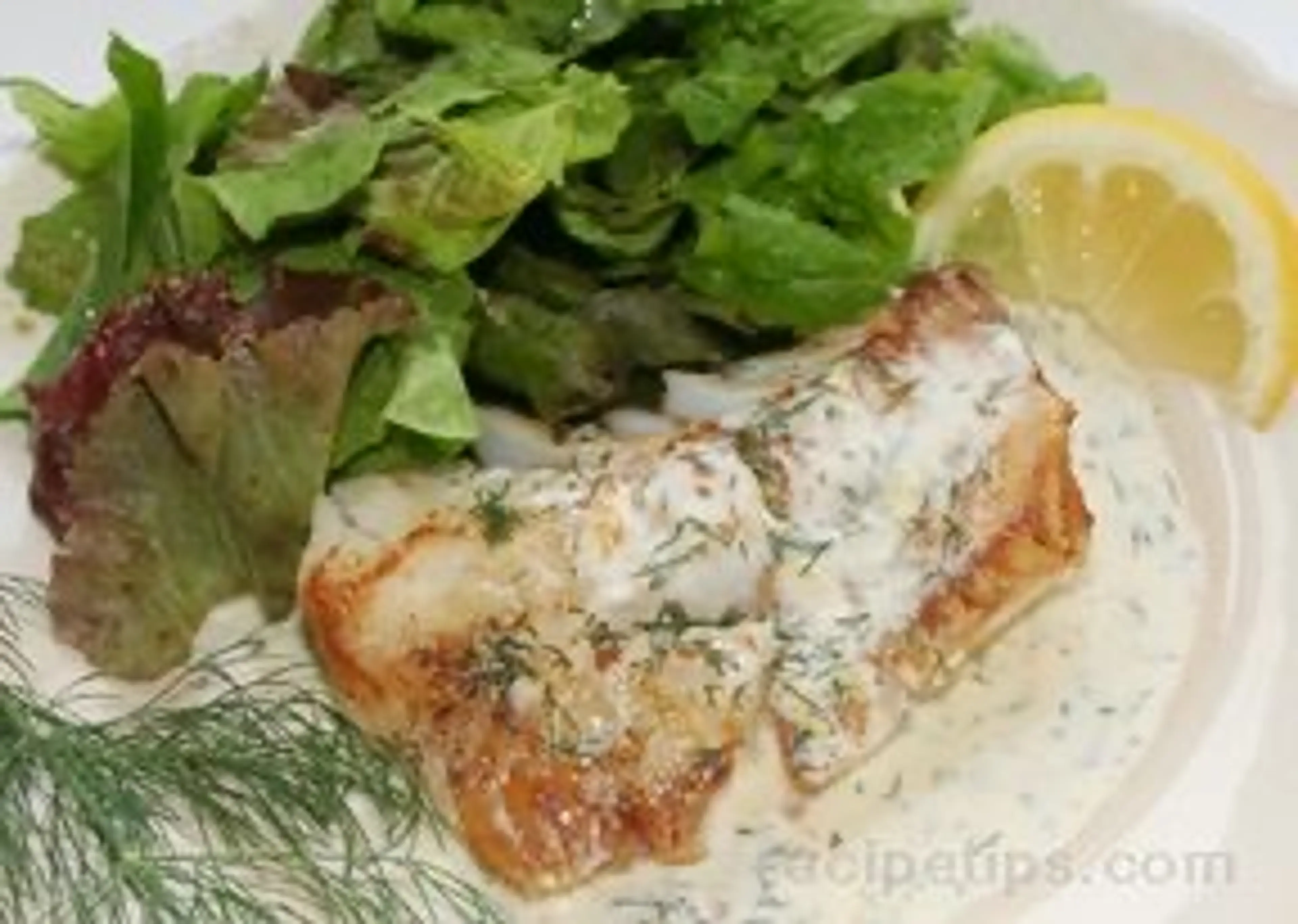 Fish Fillets in Creamy Dill Sauce Recipe