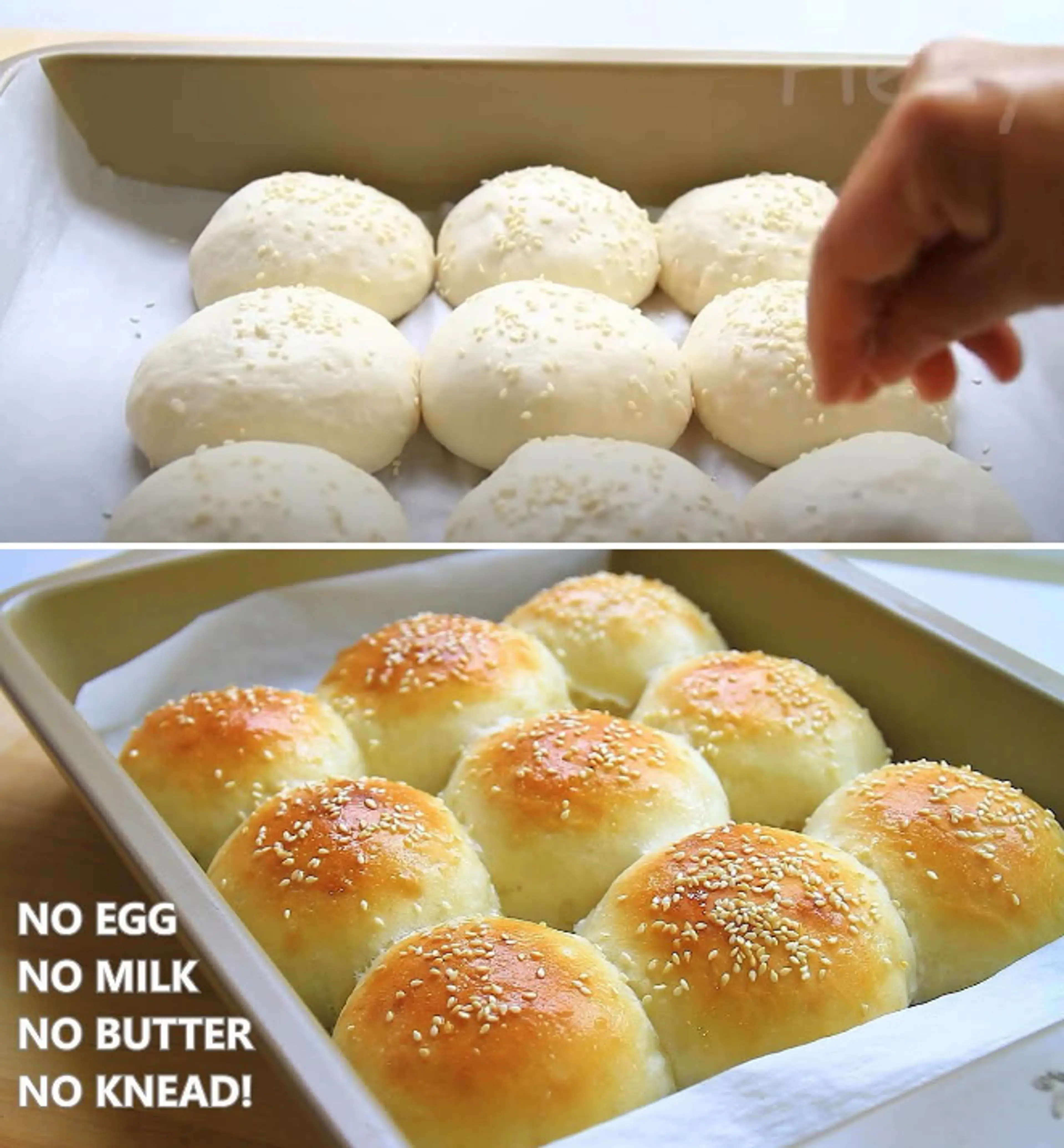Potato Bread Rolls