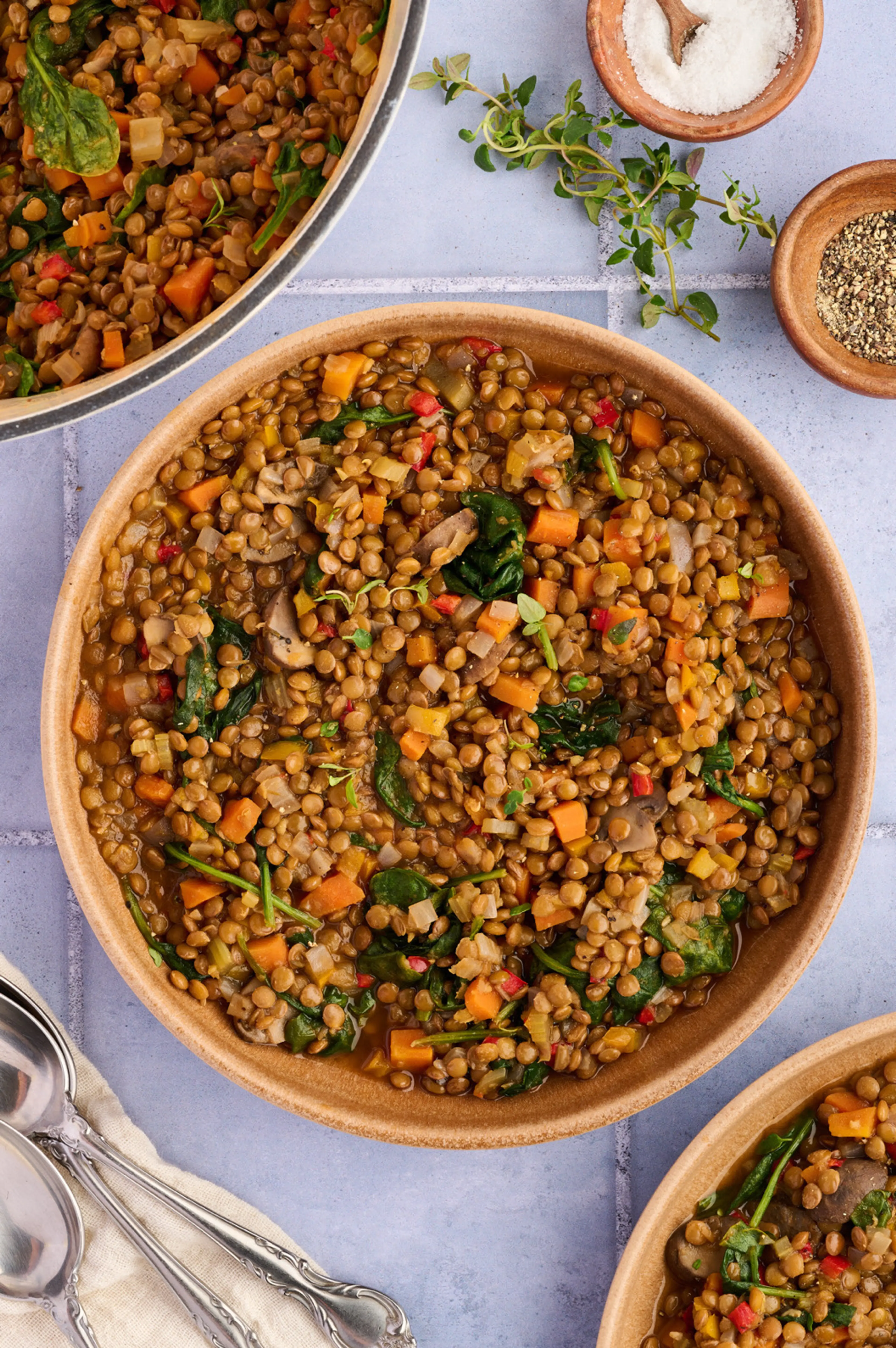 Superfood Lentil Veggie Stew