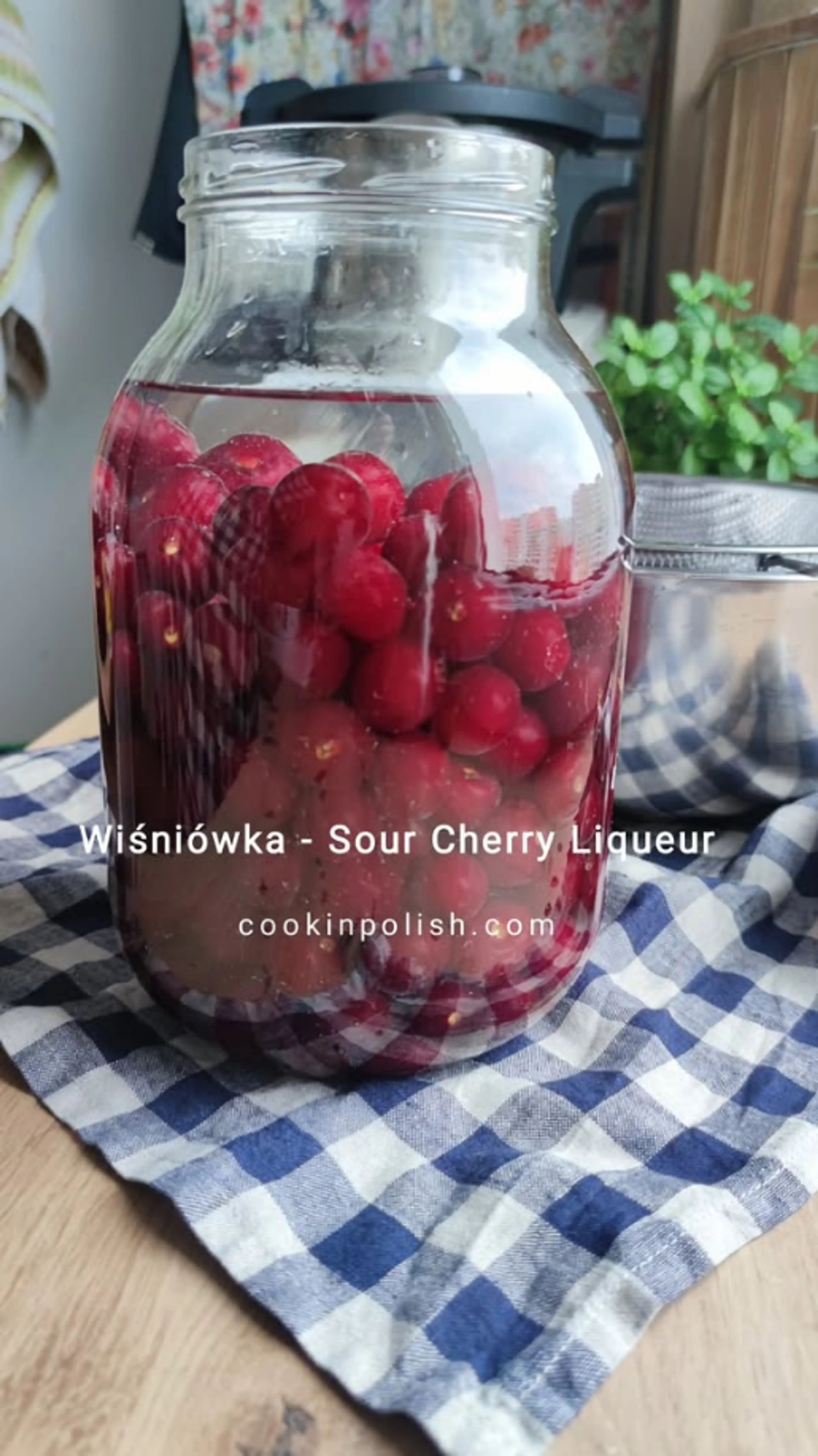 Make Wiśniówka with Me, One of the Best Liqueurs I Know