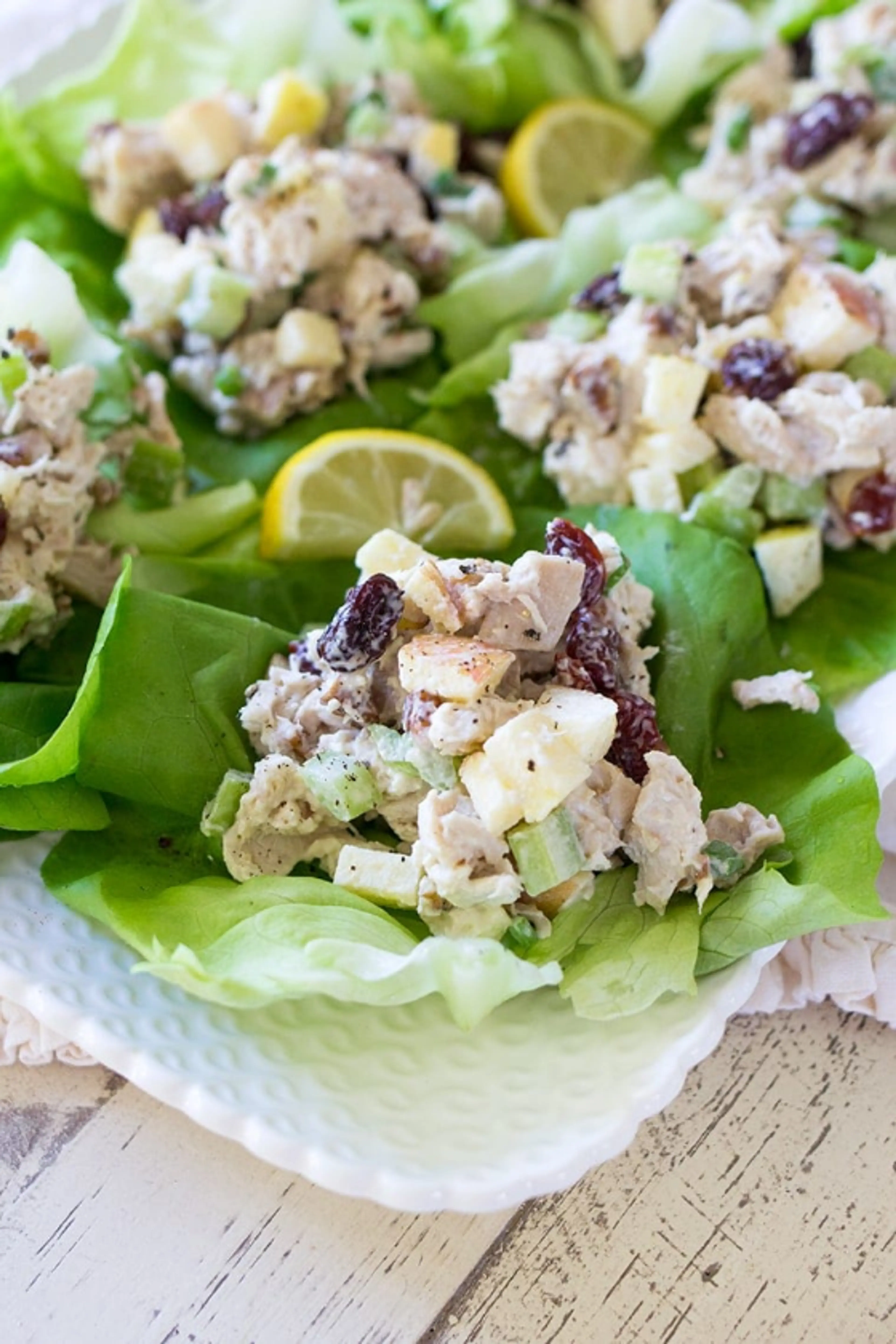 Chicken Salad(Curried Cranberry Apple)