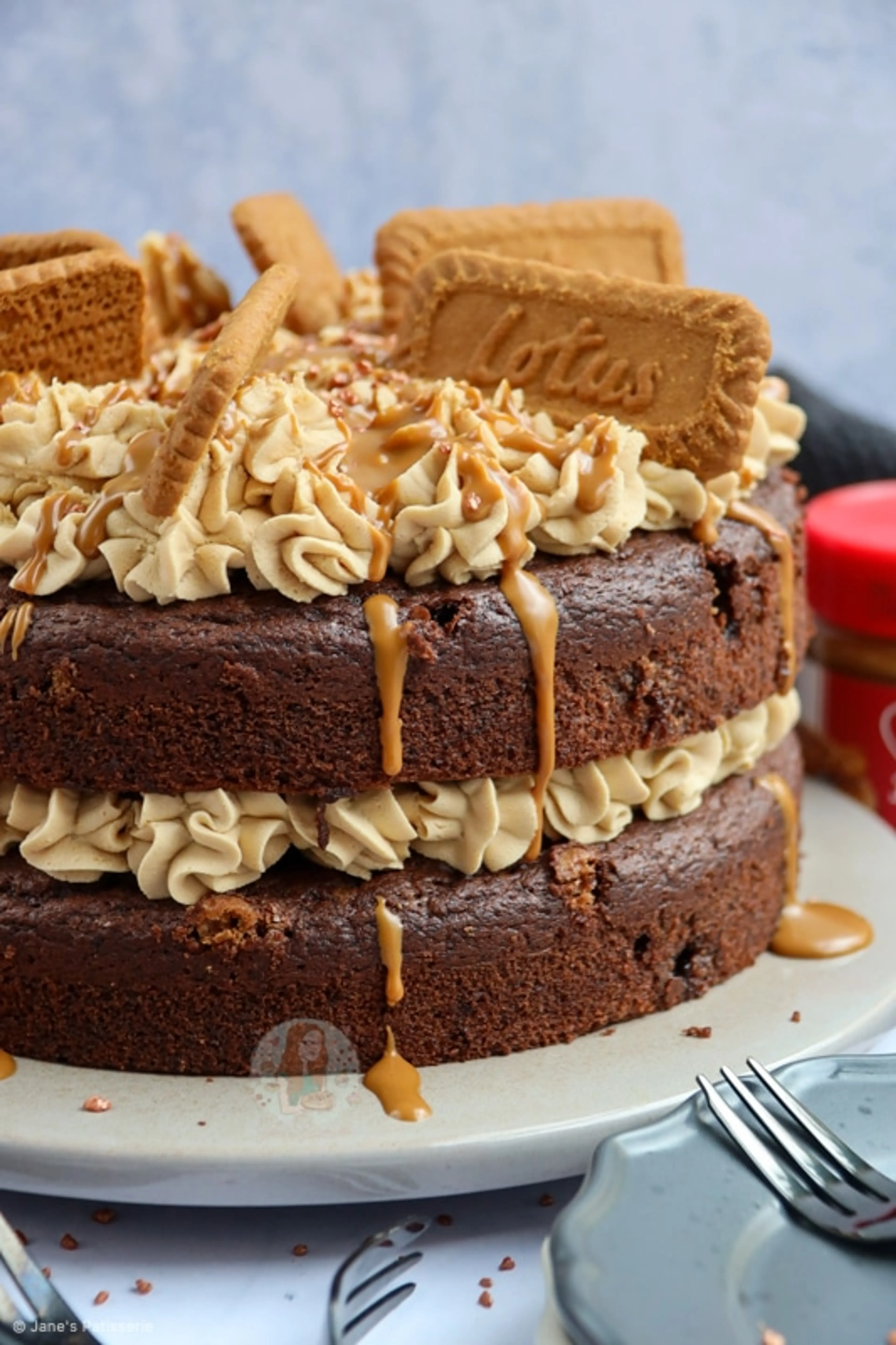 Vegan Biscoff Cake!