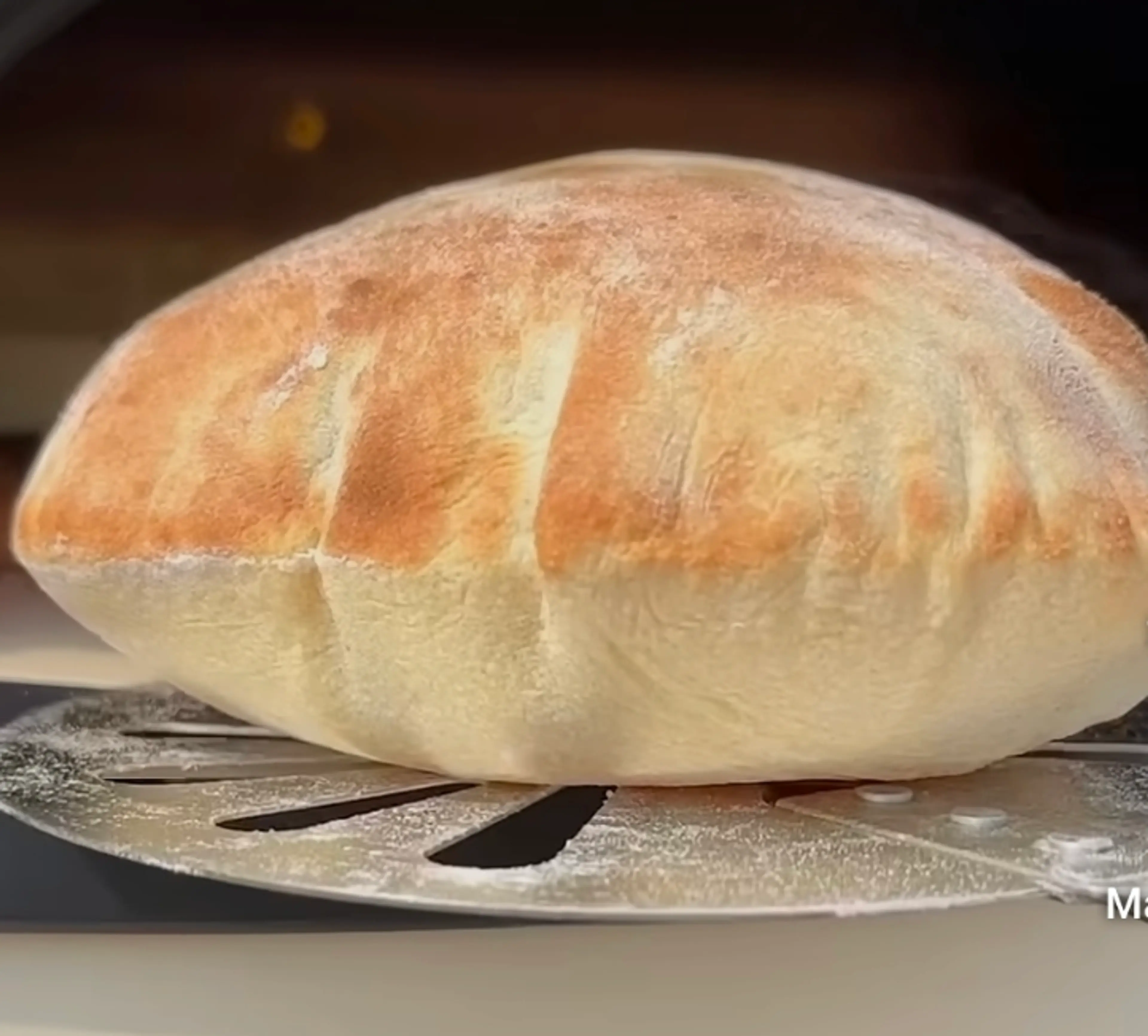 Pita