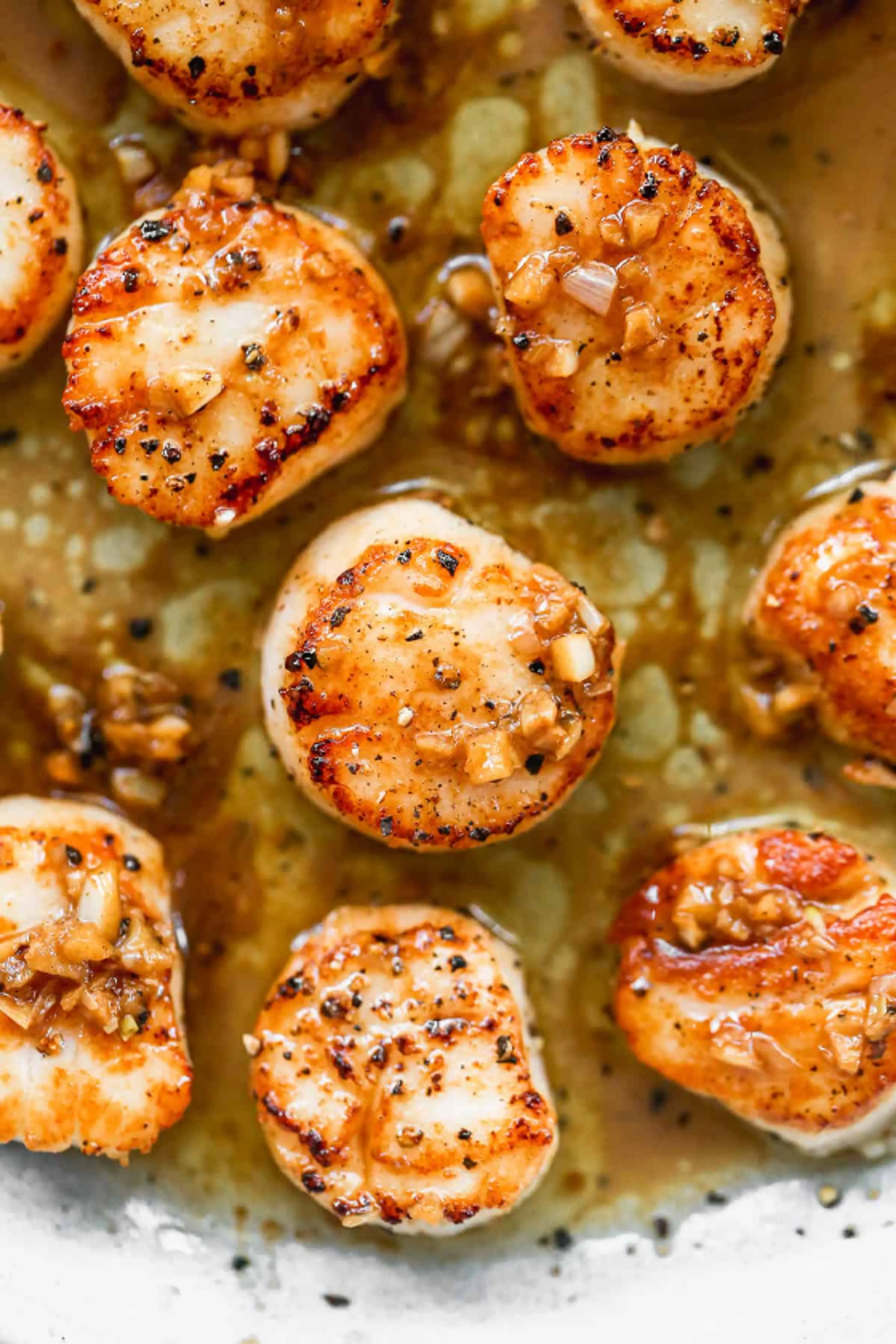 Seared Scallops