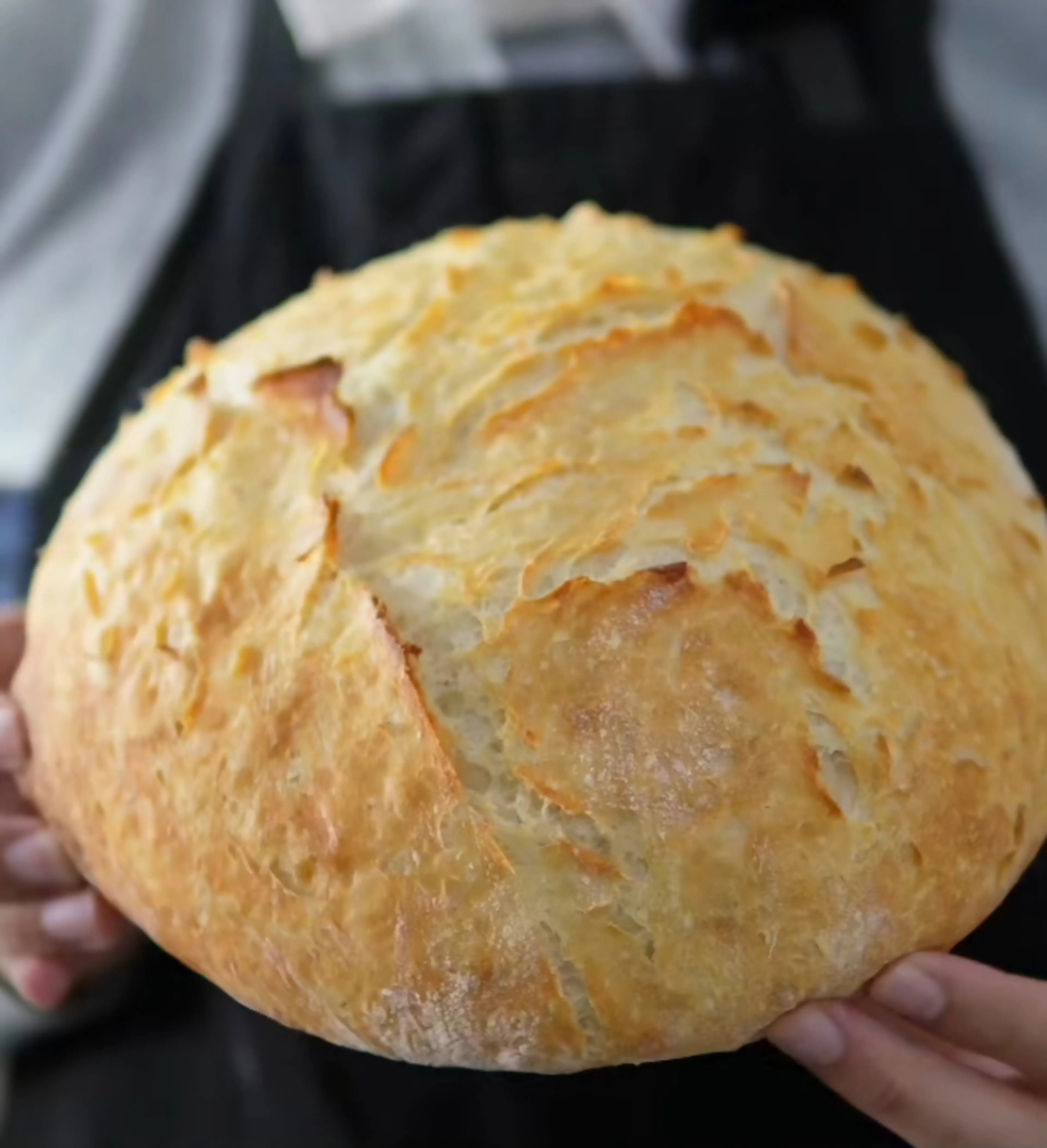 Crusty Bread Recipe