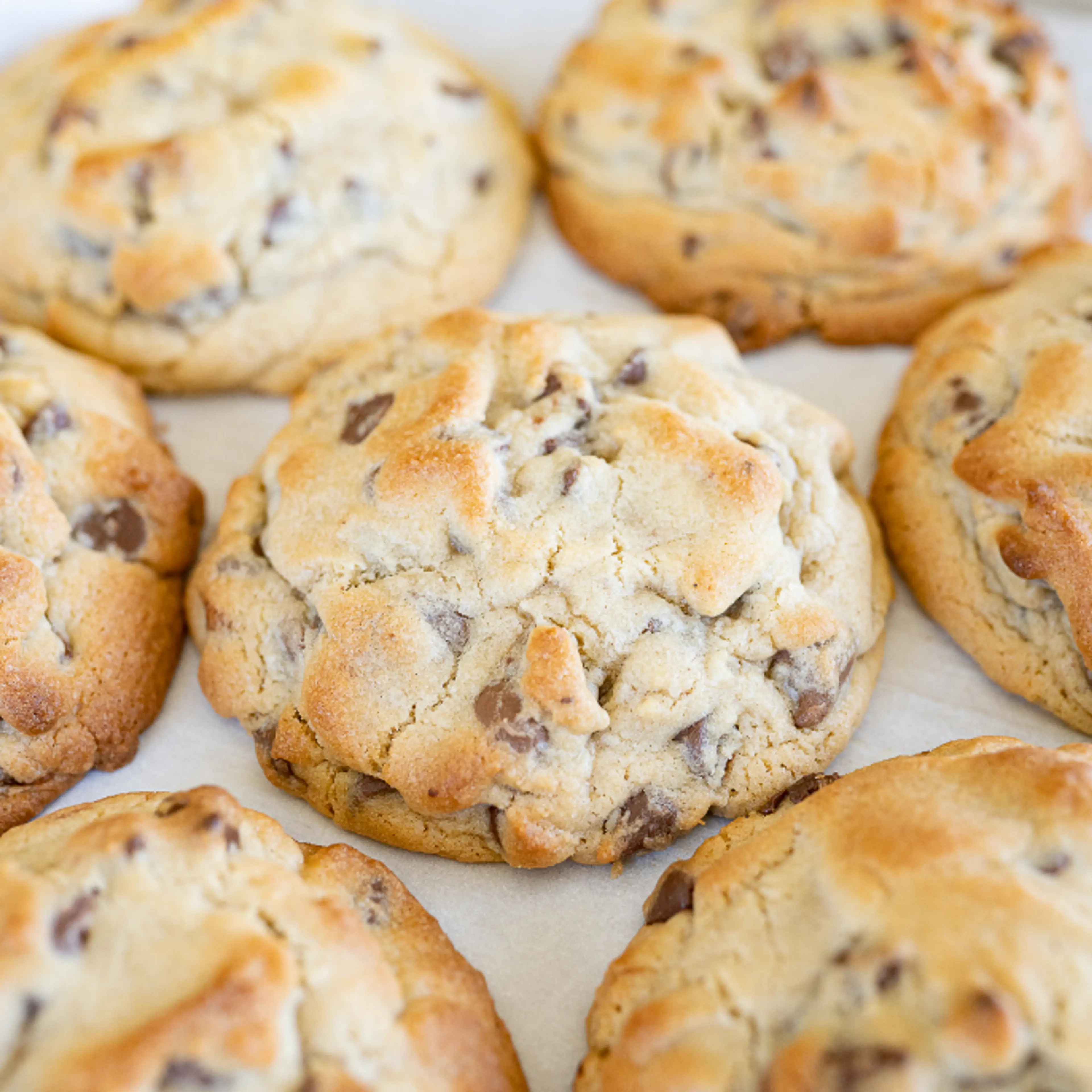 Levain Bakery Chocolate Chip Cookie Recipe