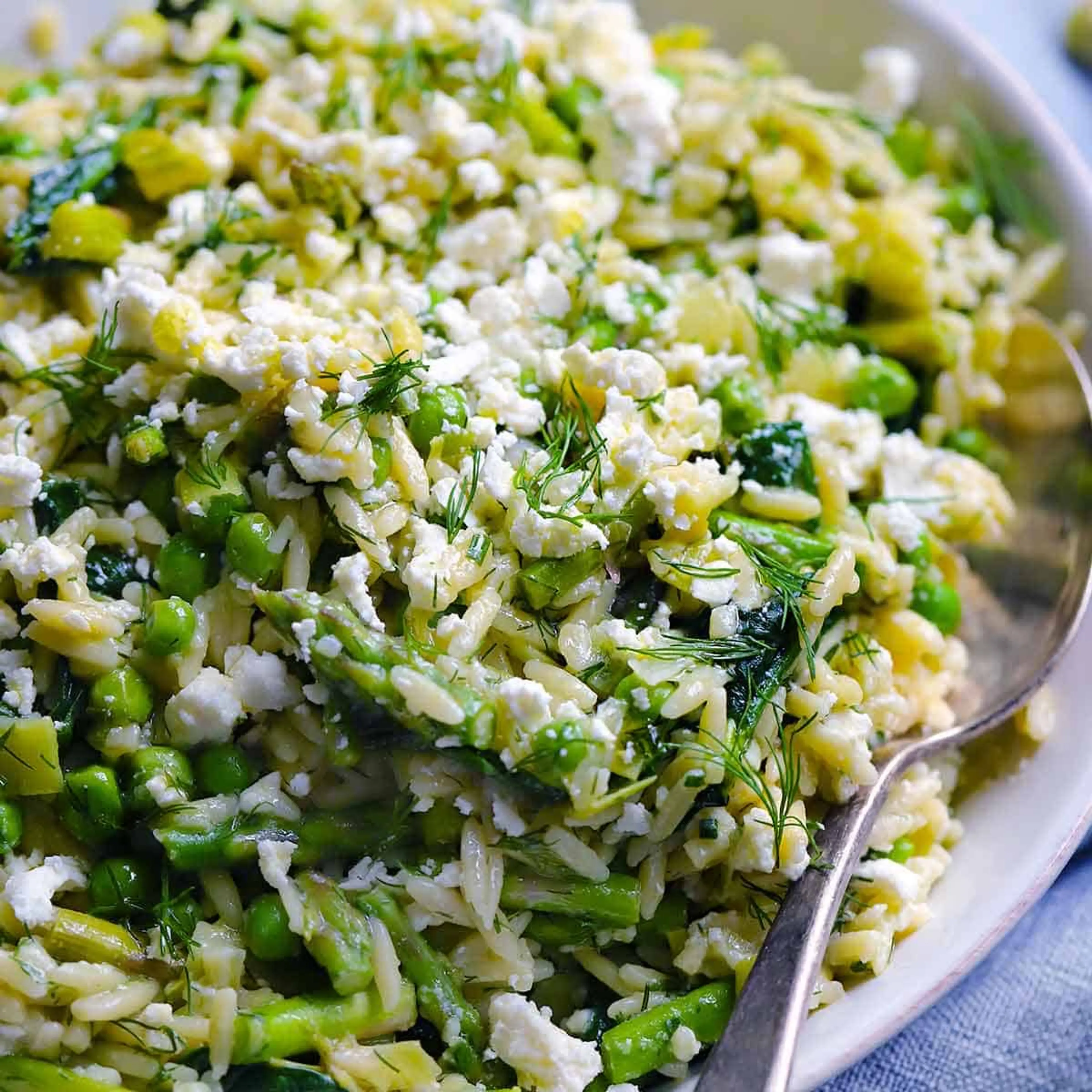 Lemony Orzo with Spring Vegetables, Garlic, and Herbs
