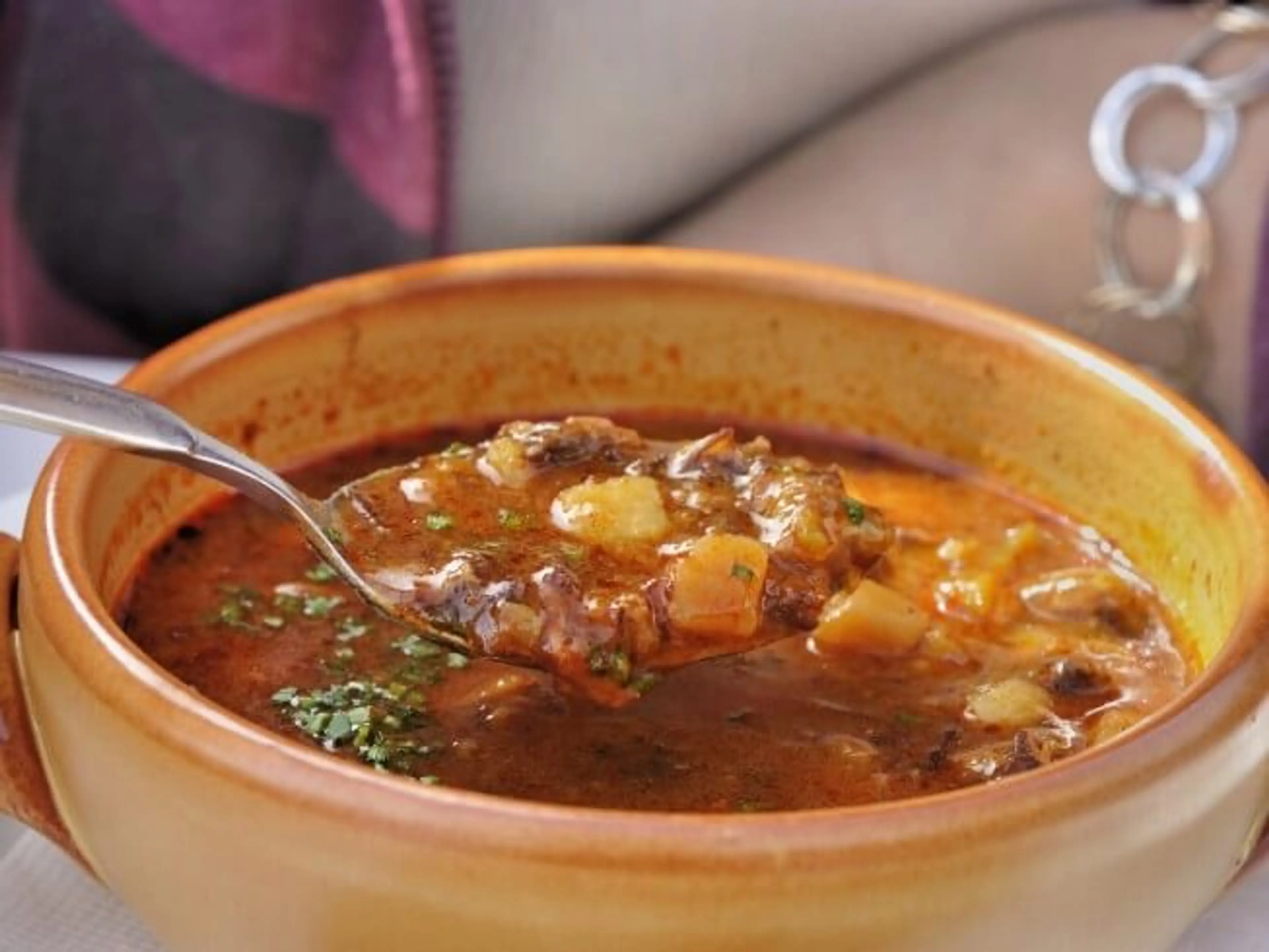 Bohemian Goulash Soup