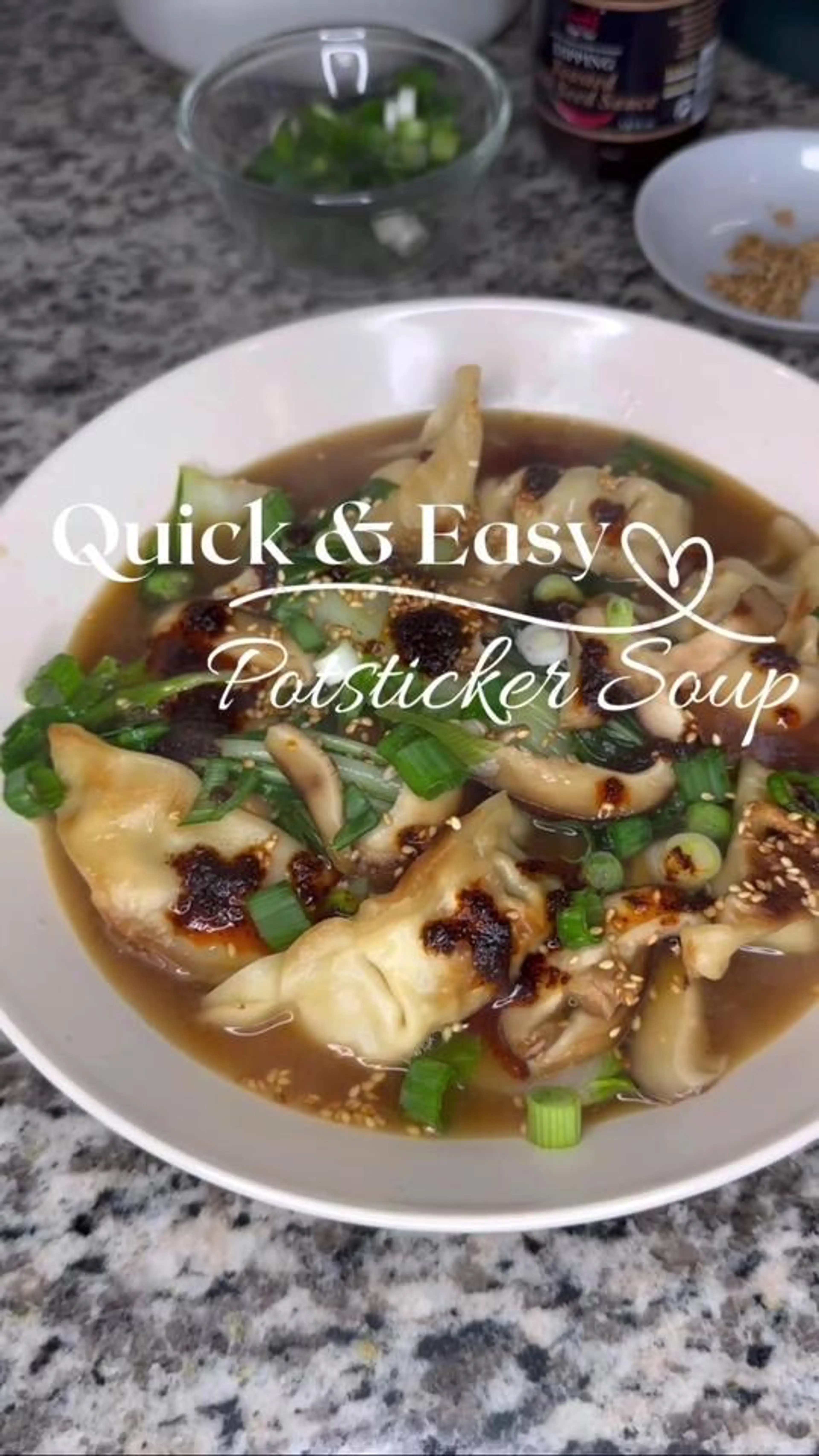 Quick & Easy Potsticker Soup