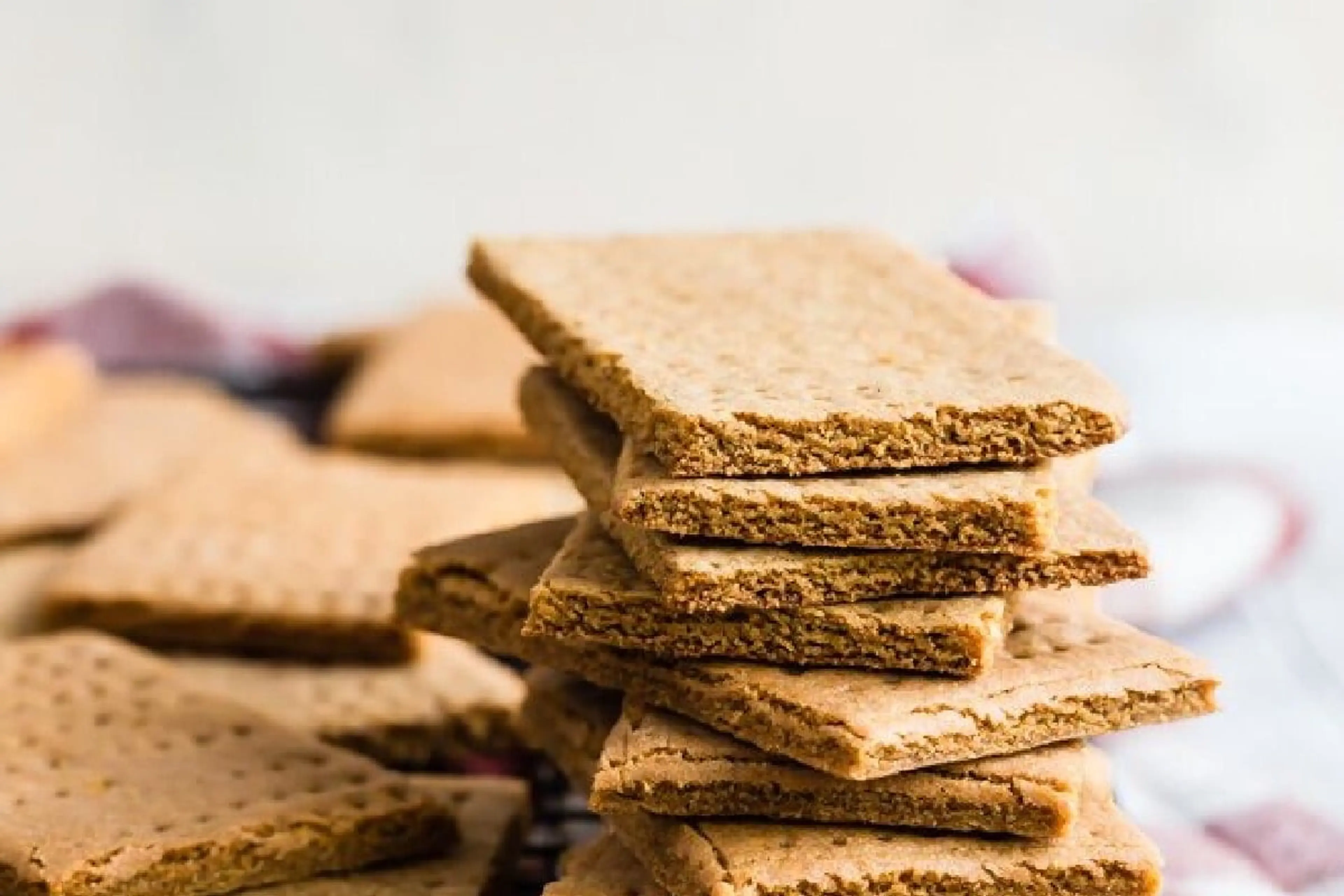 Homemade Graham Crackers