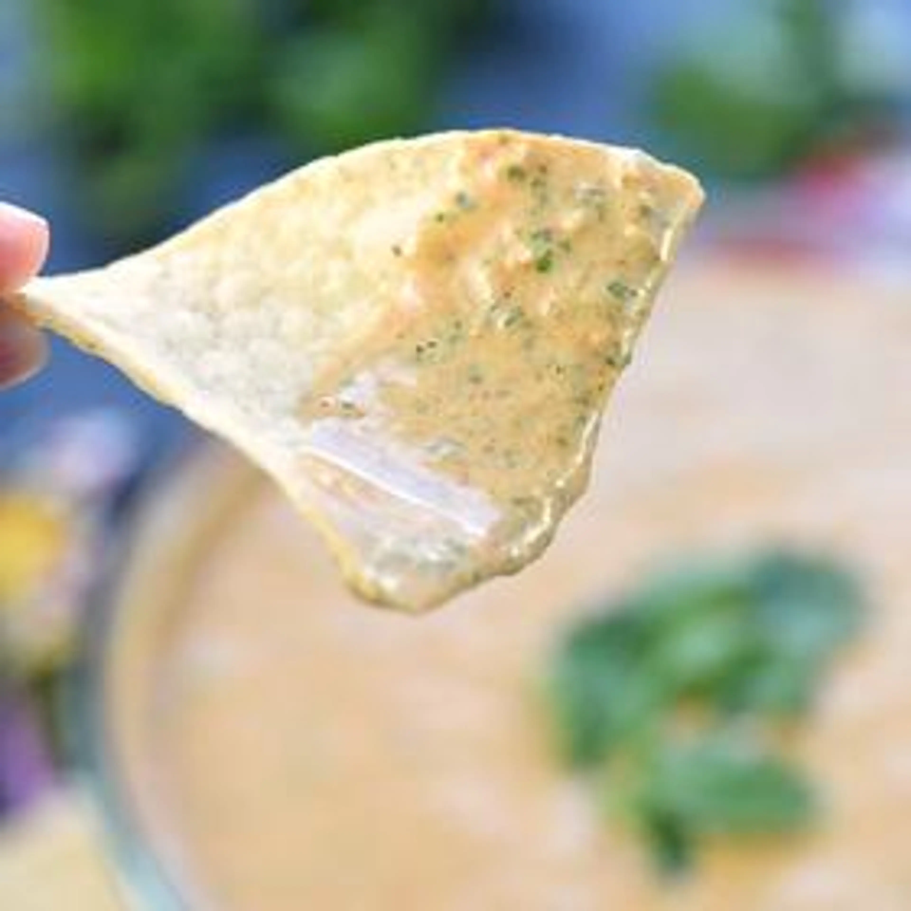 Creamy Salsa Dip (Or Dressing)