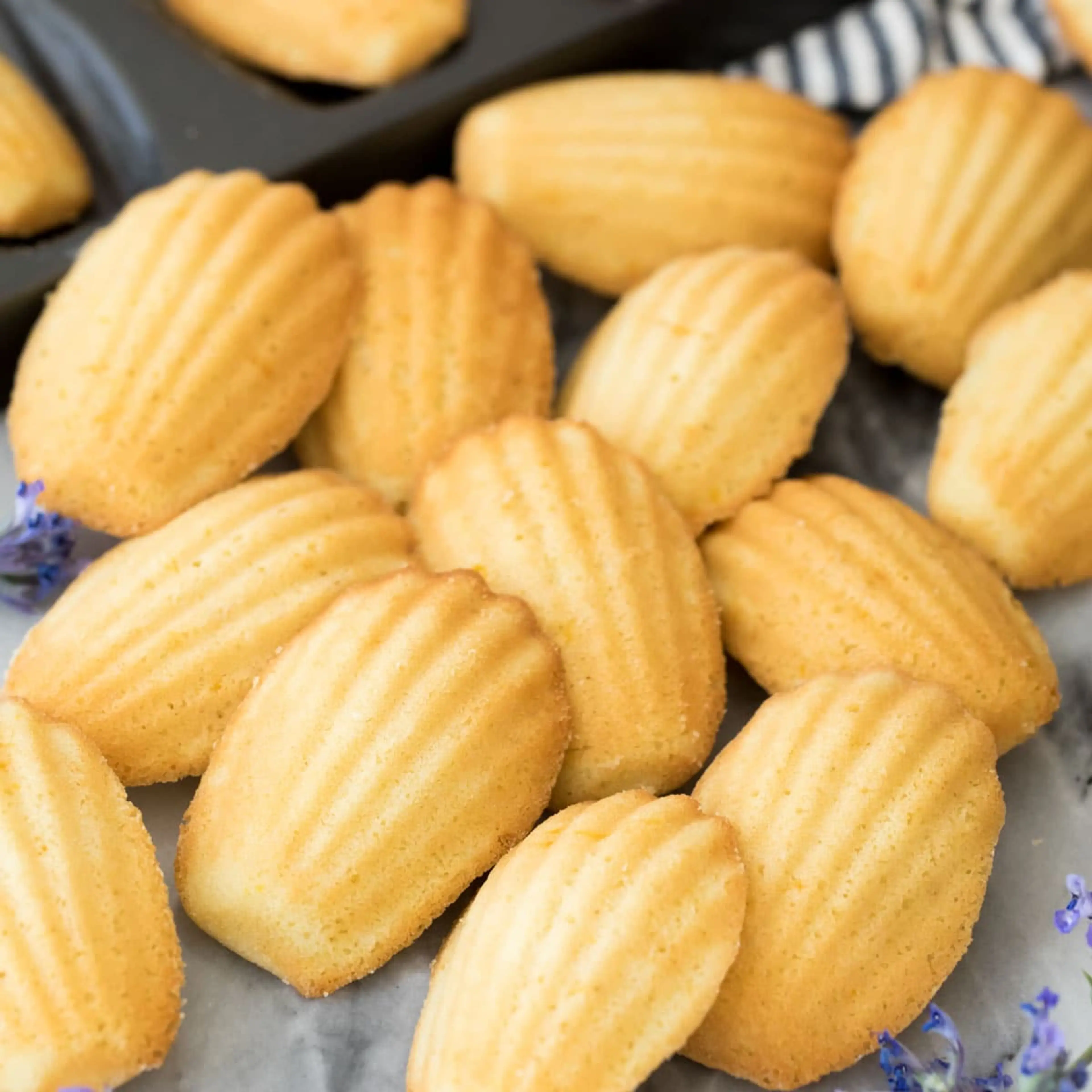 Madeleines (the Best, Easiest Recipe, with Video!)