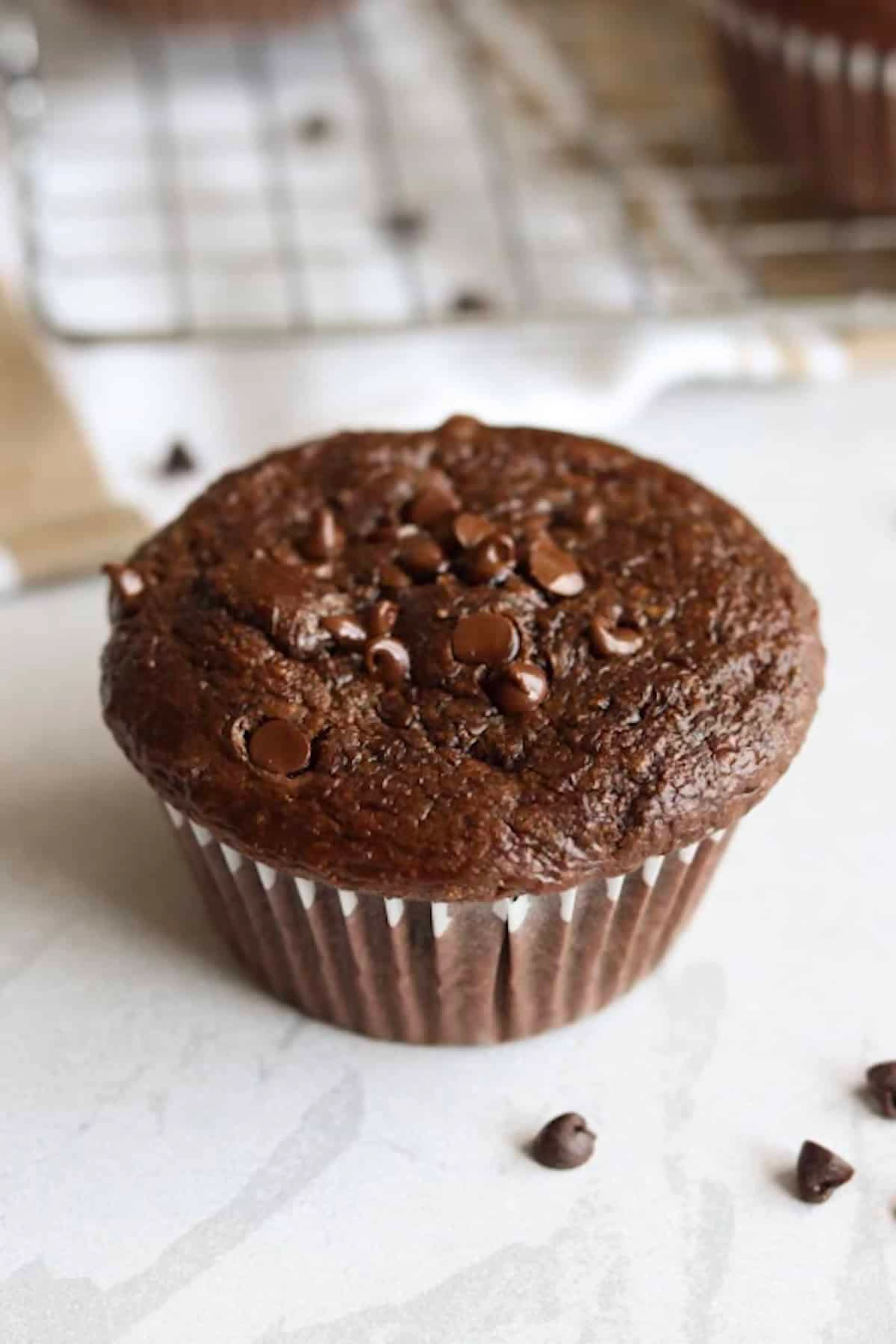 Chocolate Cottage Cheese Muffins