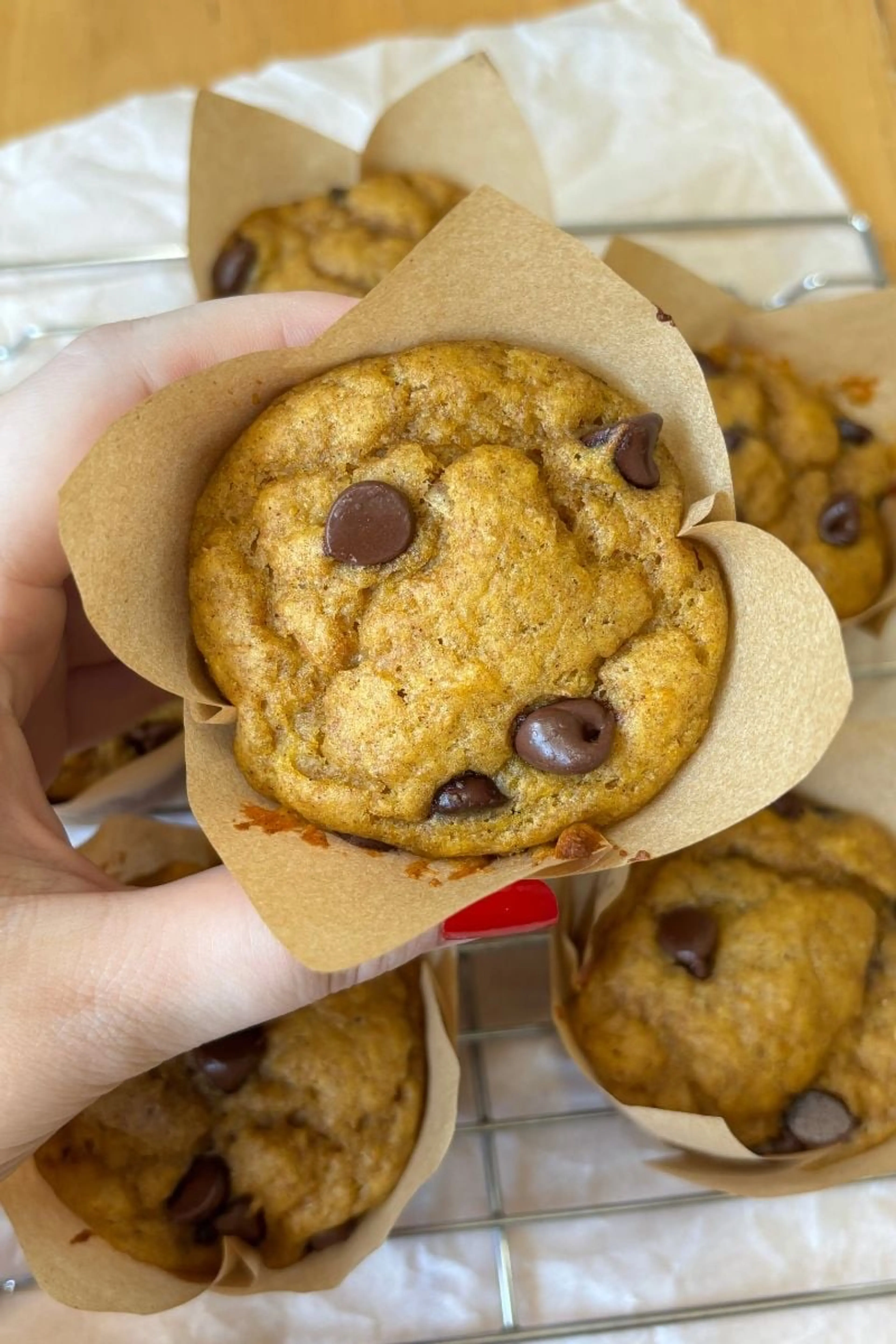 Protein Sourdough Pumpkin Spice Muffins