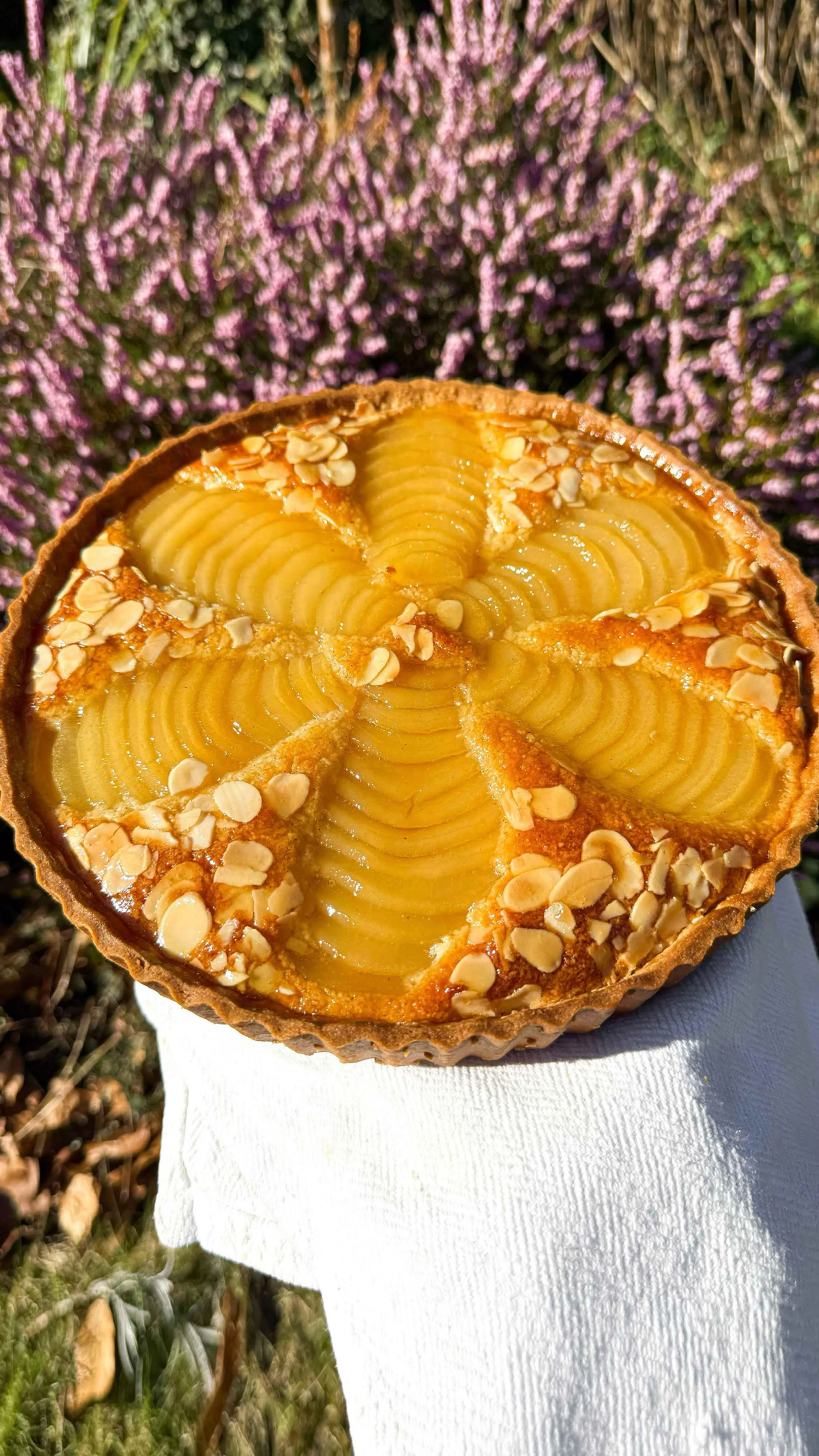 Pear Bourdaloue