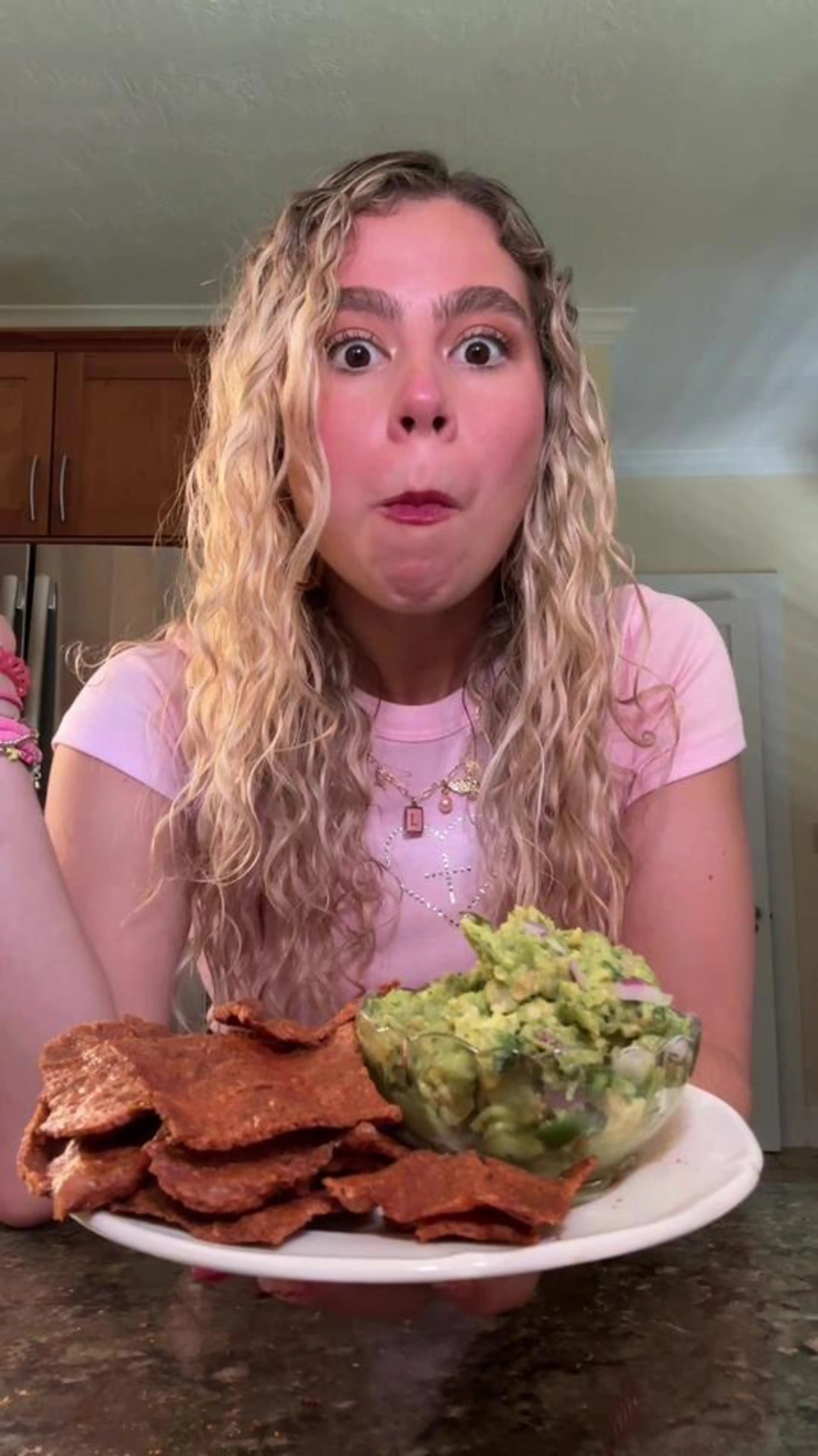 Chicken Protein Chips