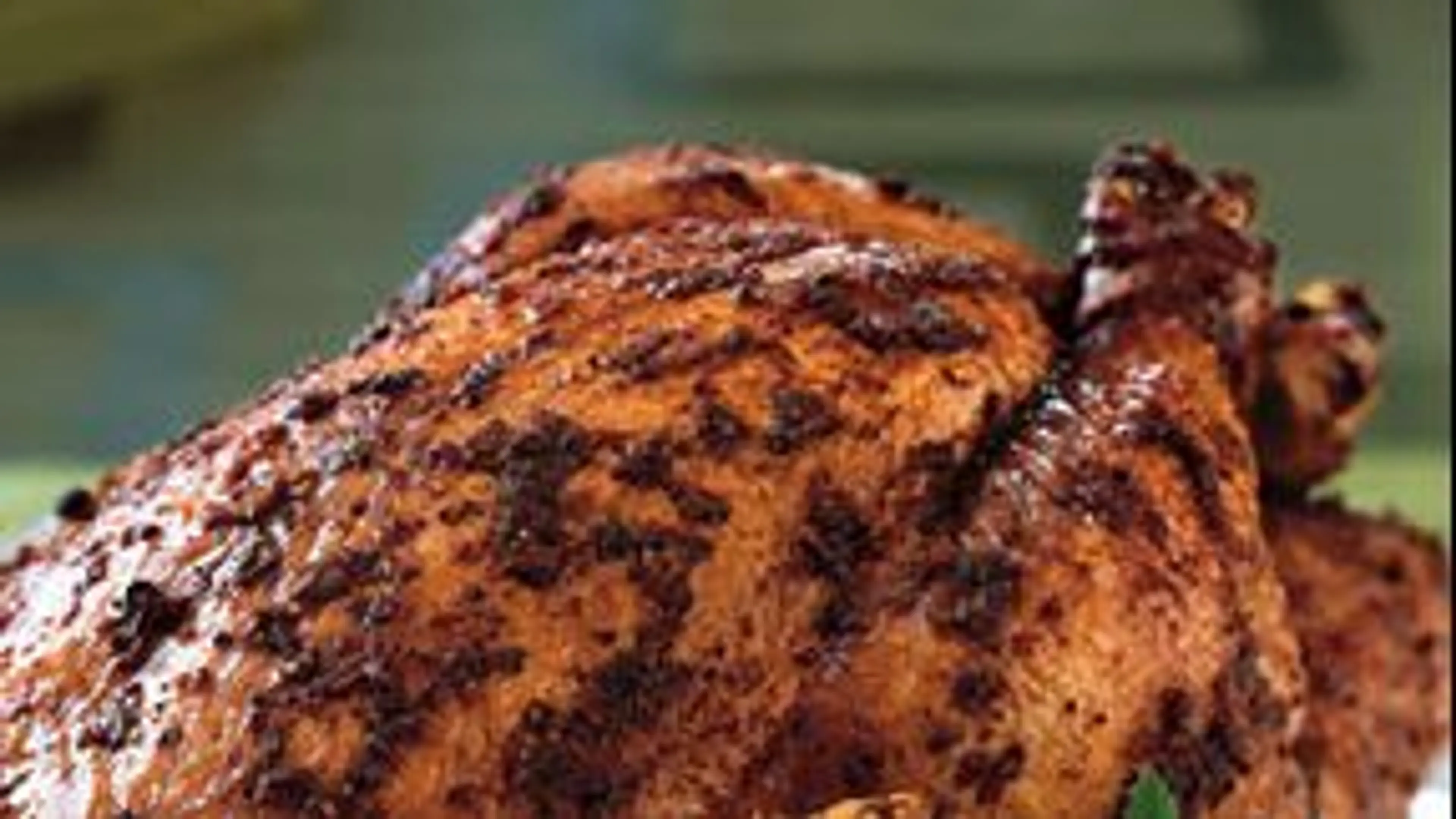 Roasted Organic Chicken with Moroccan Spices