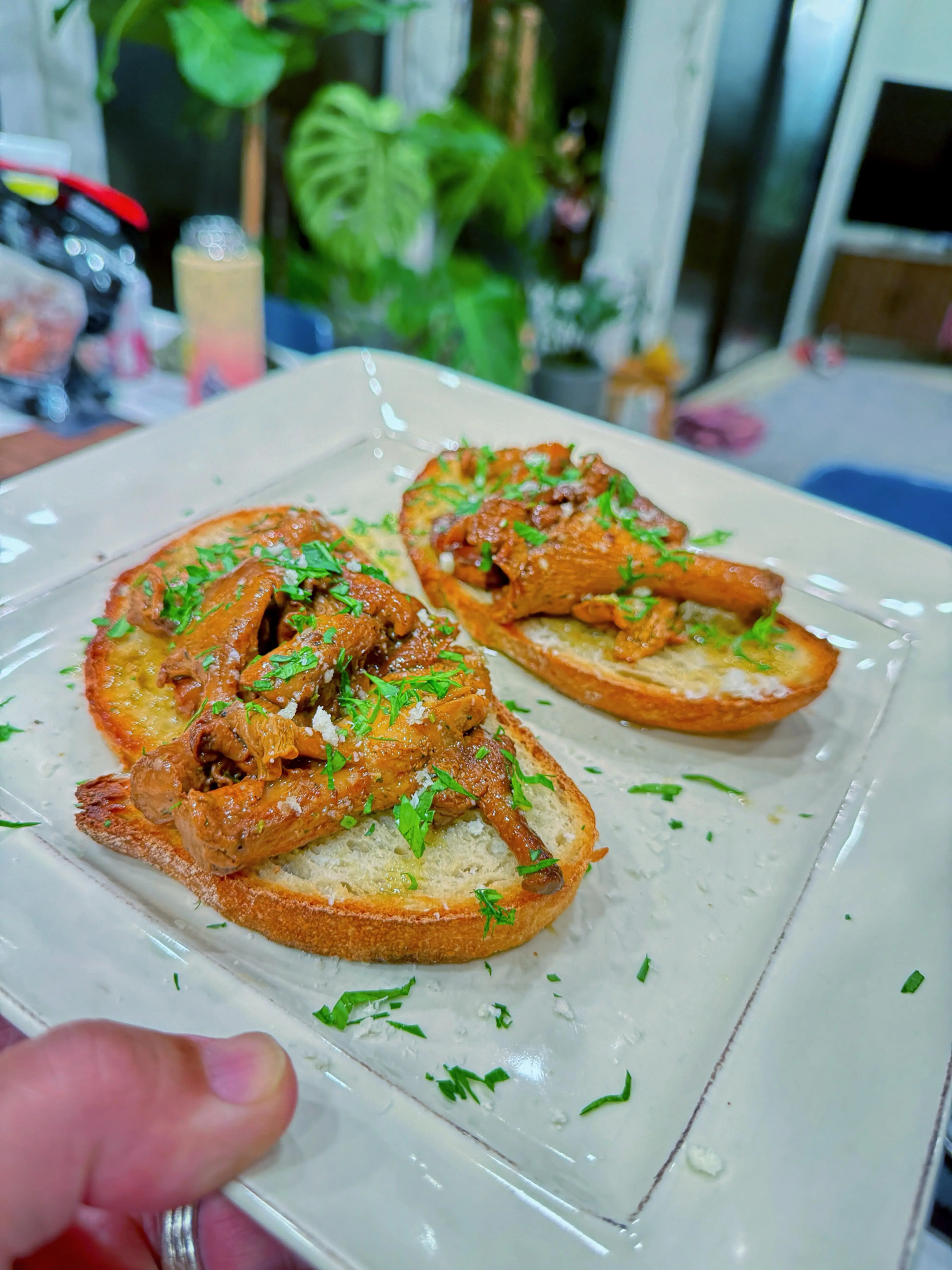 🍄‍🟫Chanterelles on Toast