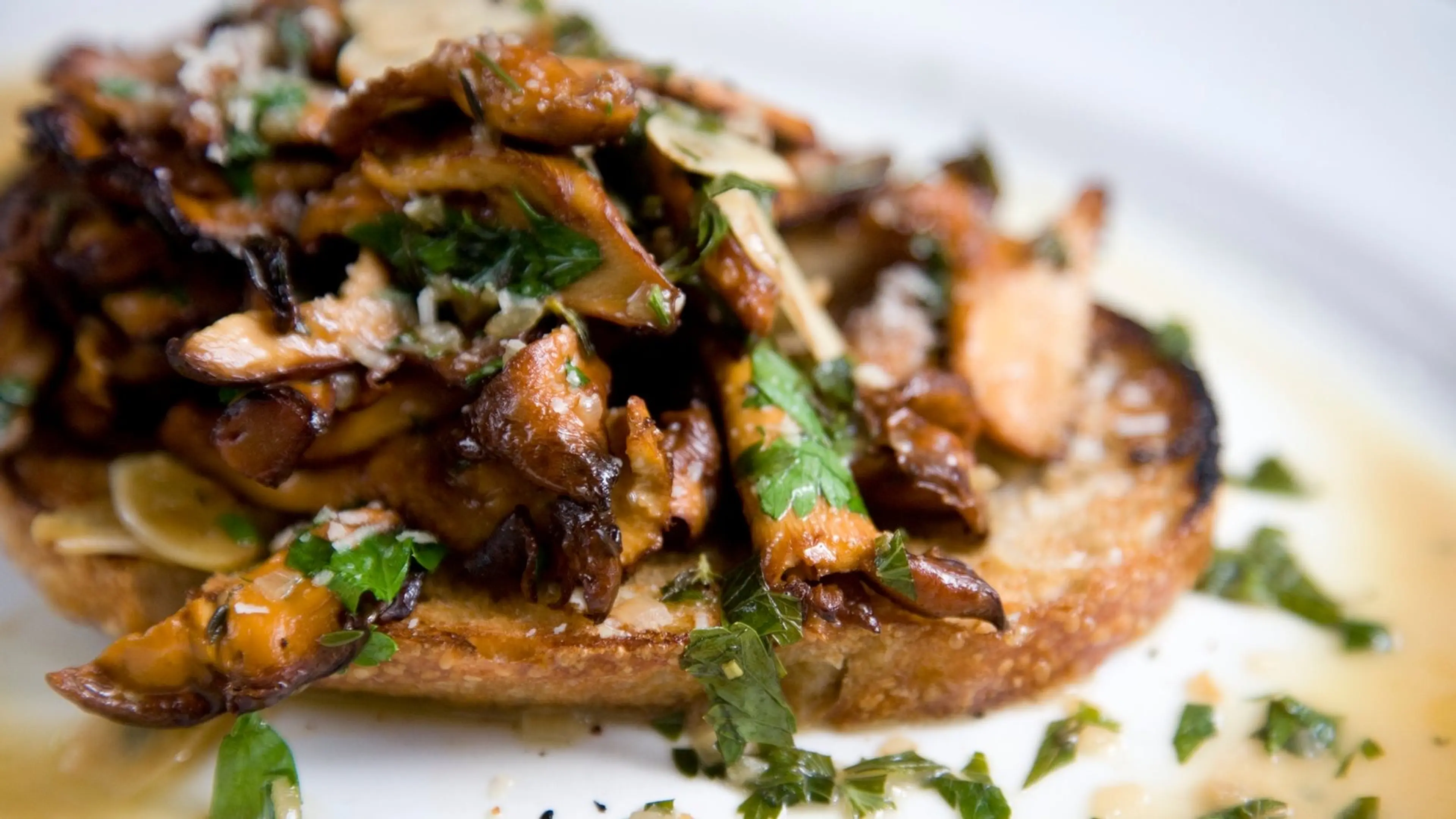 🍄‍🟫Chanterelles on Toast