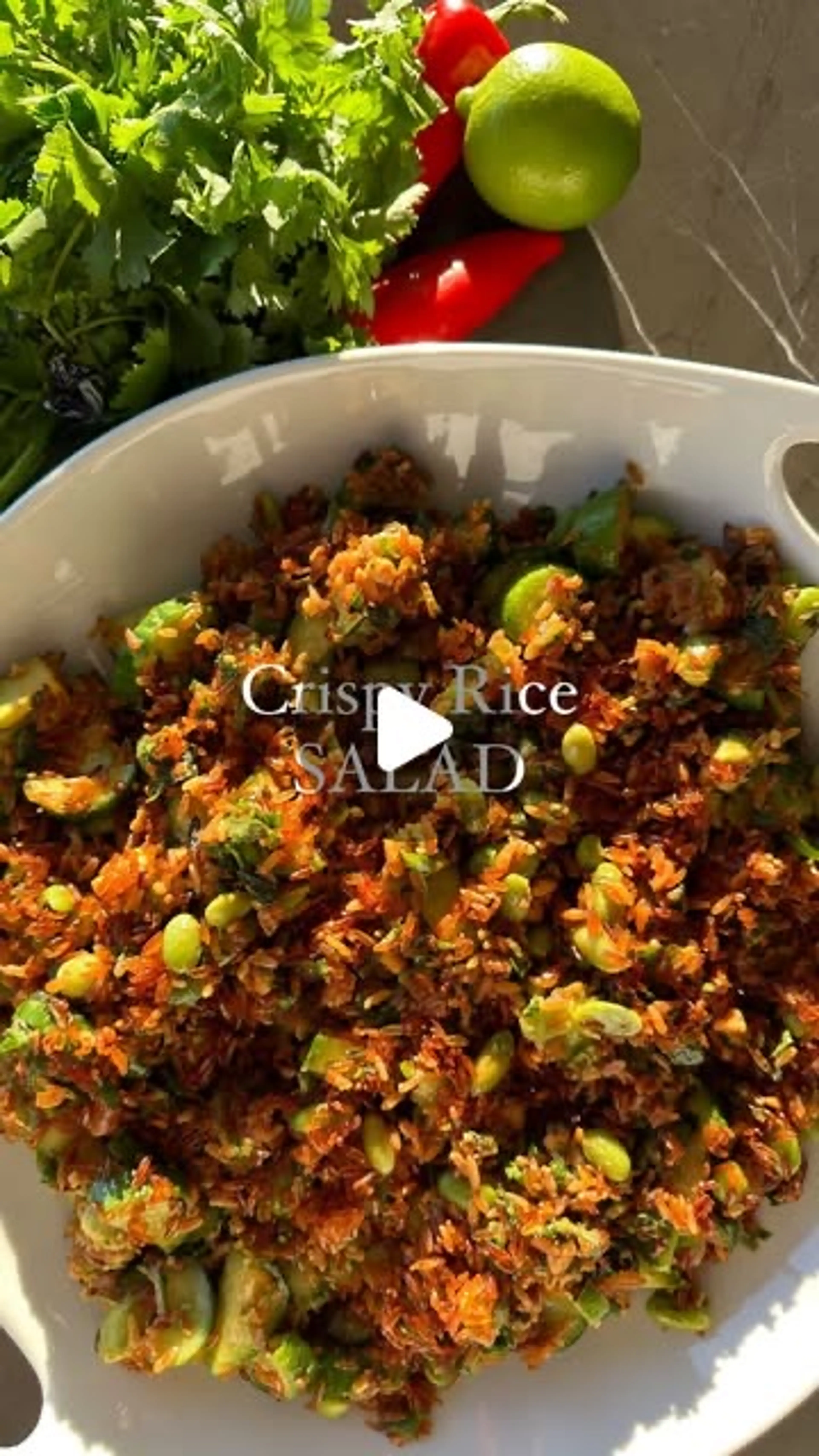 Crispy Rice Salad (nam Khao Inspired