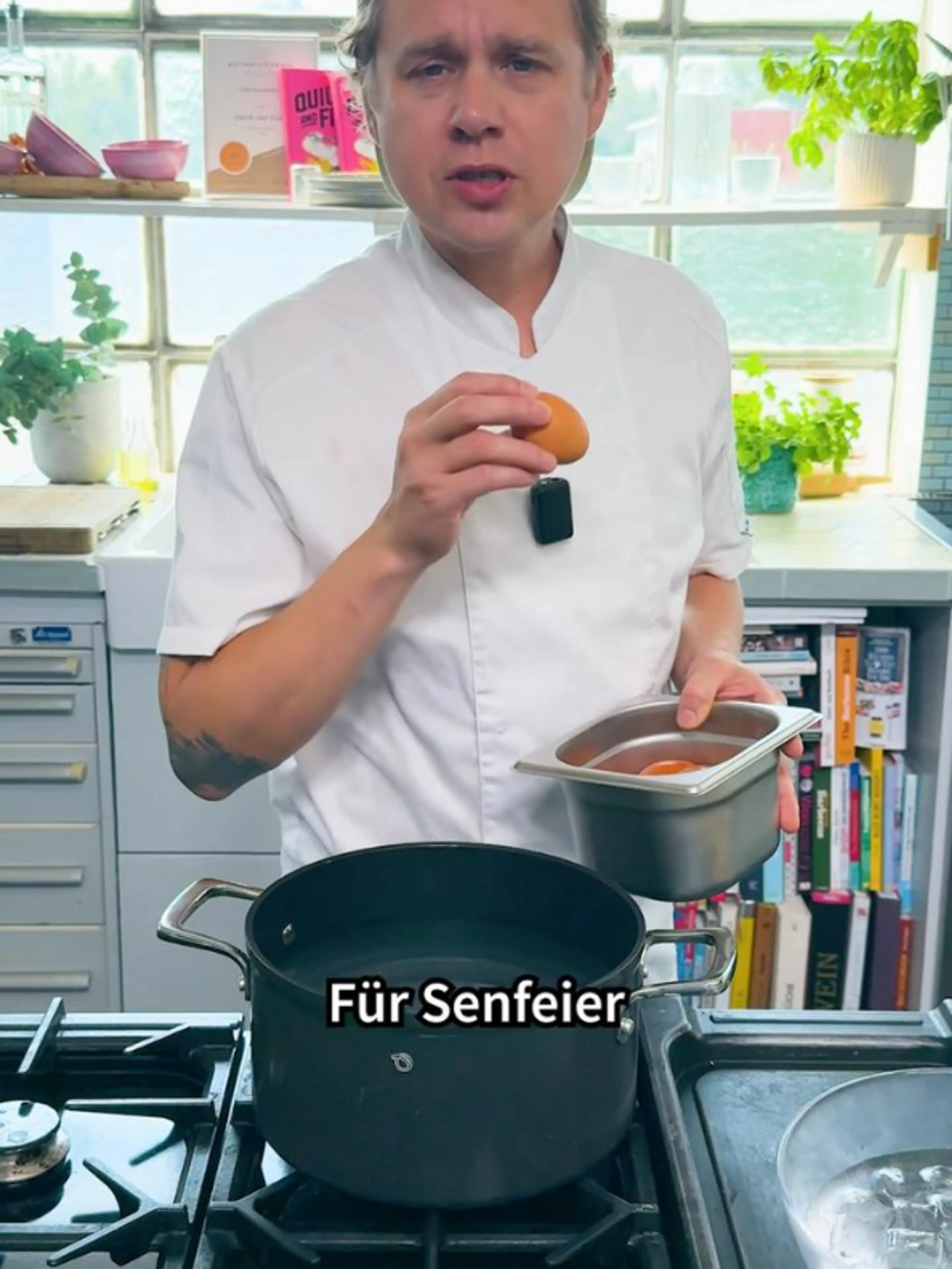 Senfeier