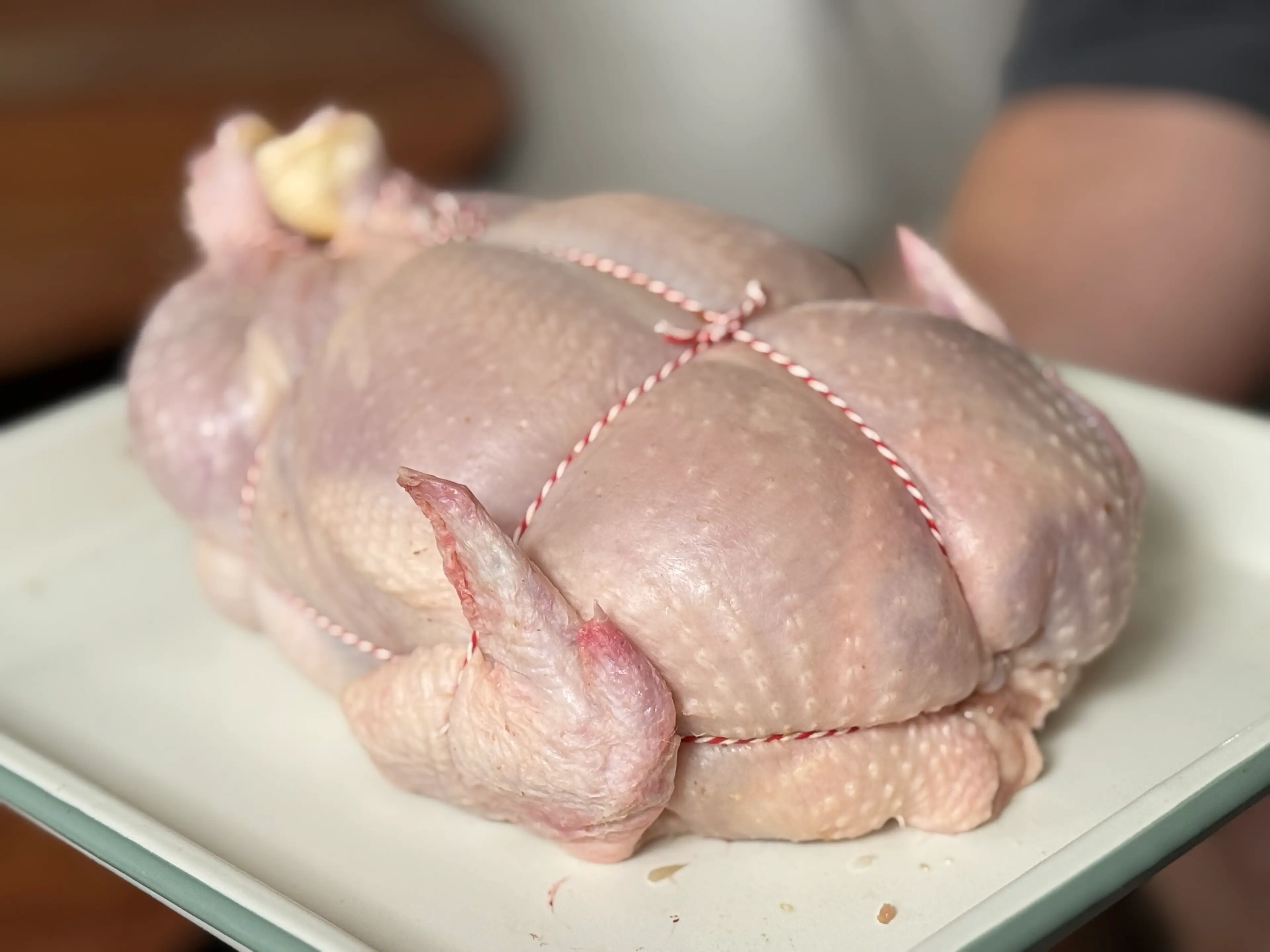 Kerstkip 🎄🎅🏻