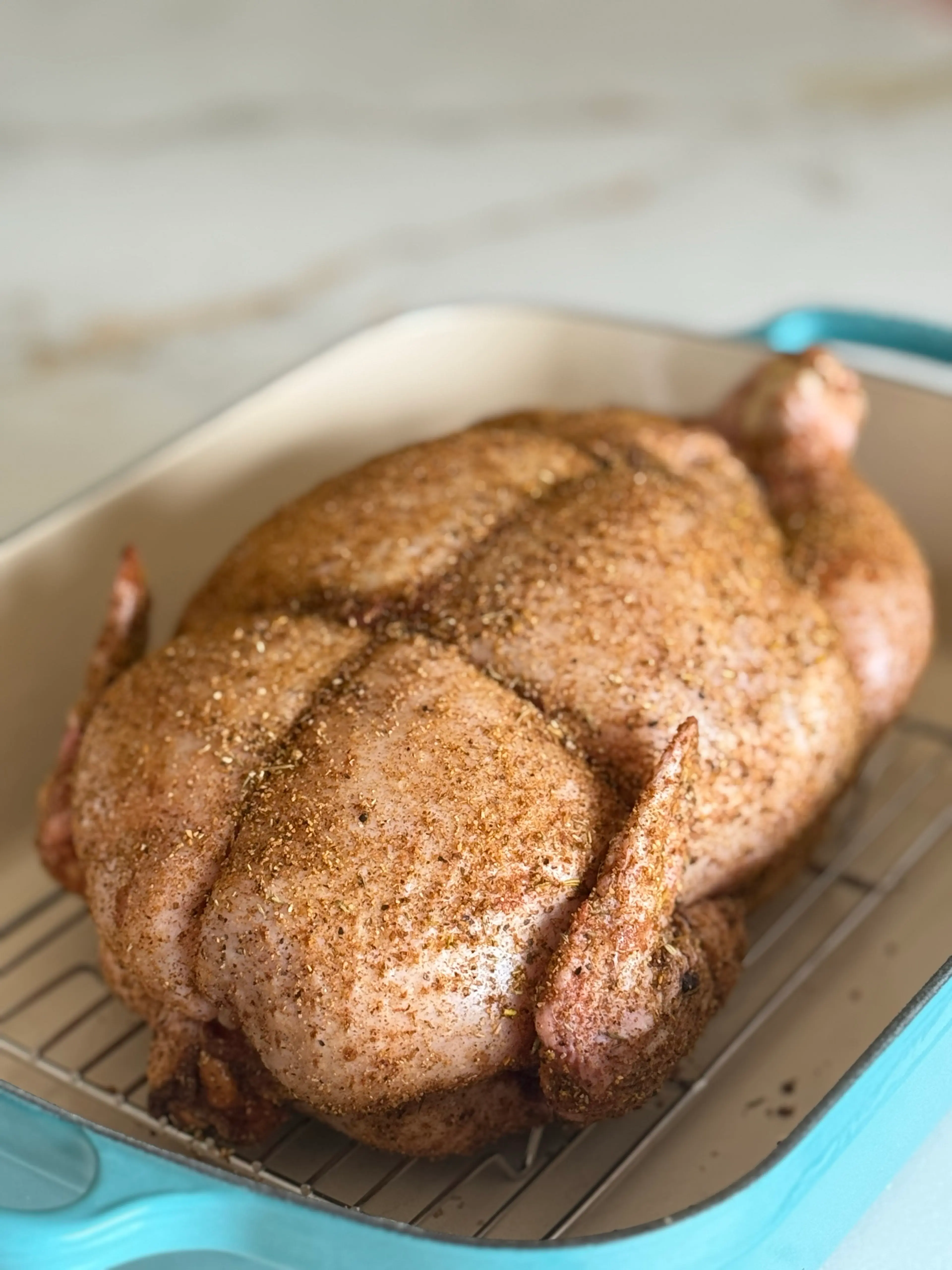 Kerstkip 🎄🎅🏻