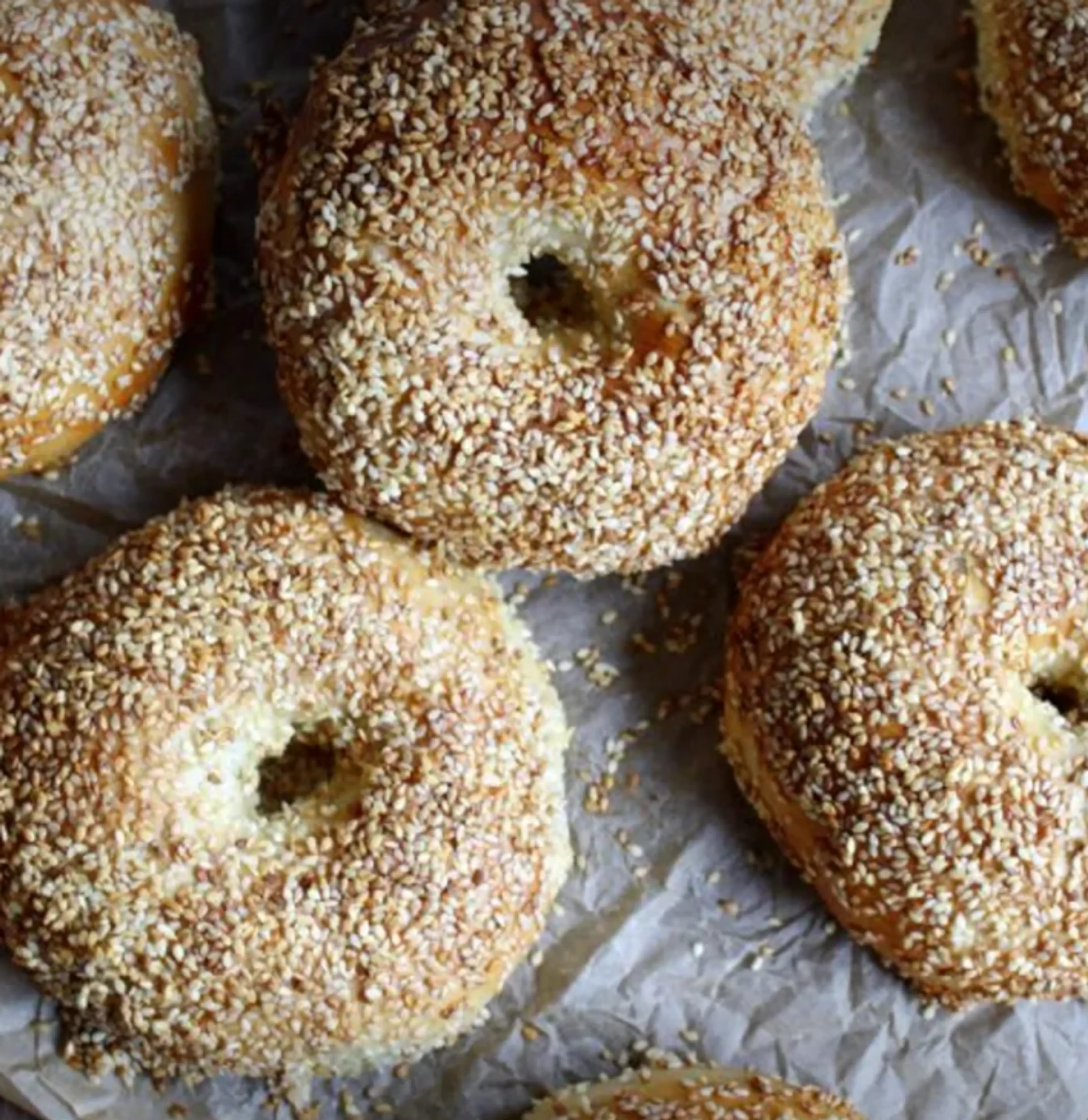 New York Bagels