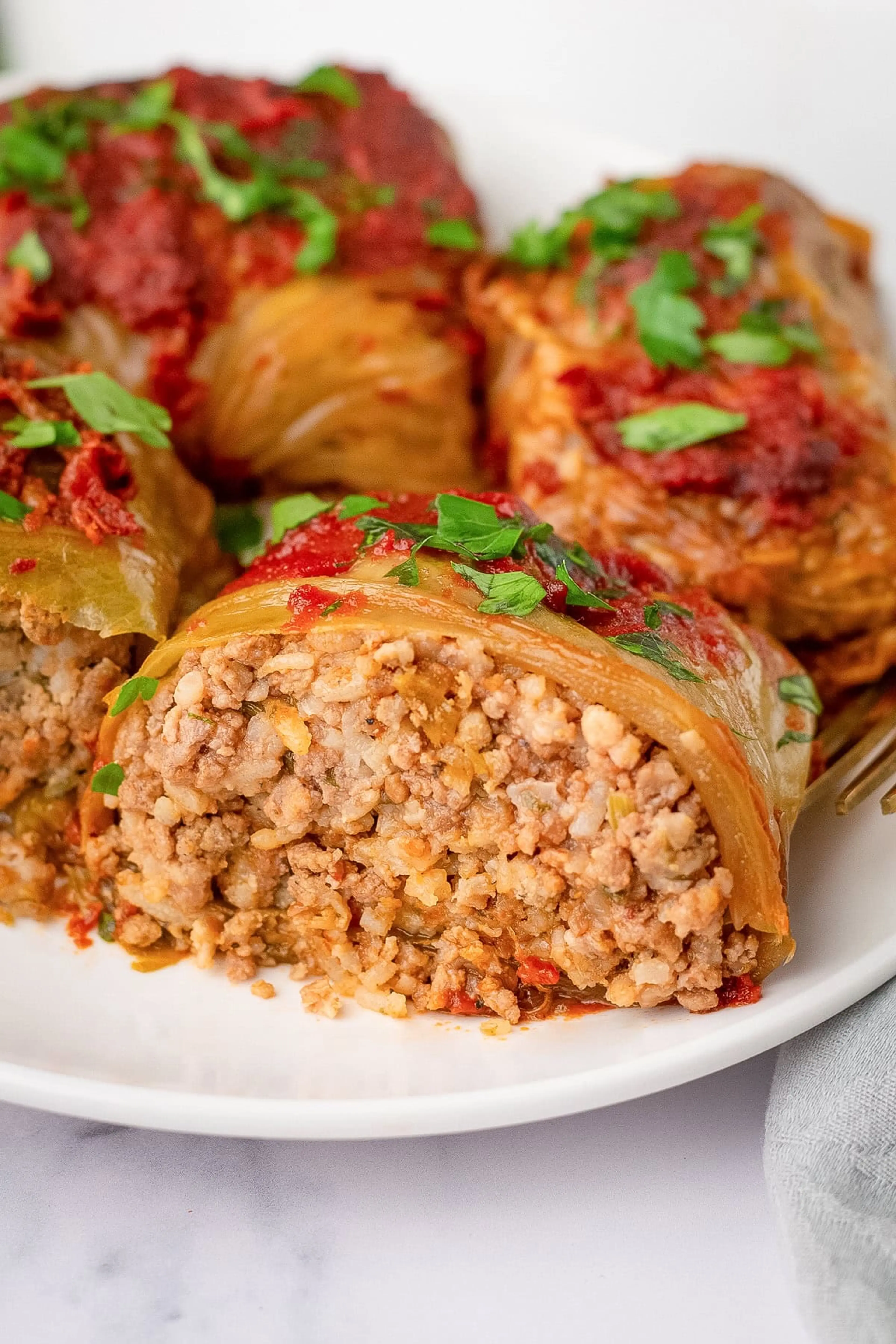 Fran’s Stuffed Cabbage