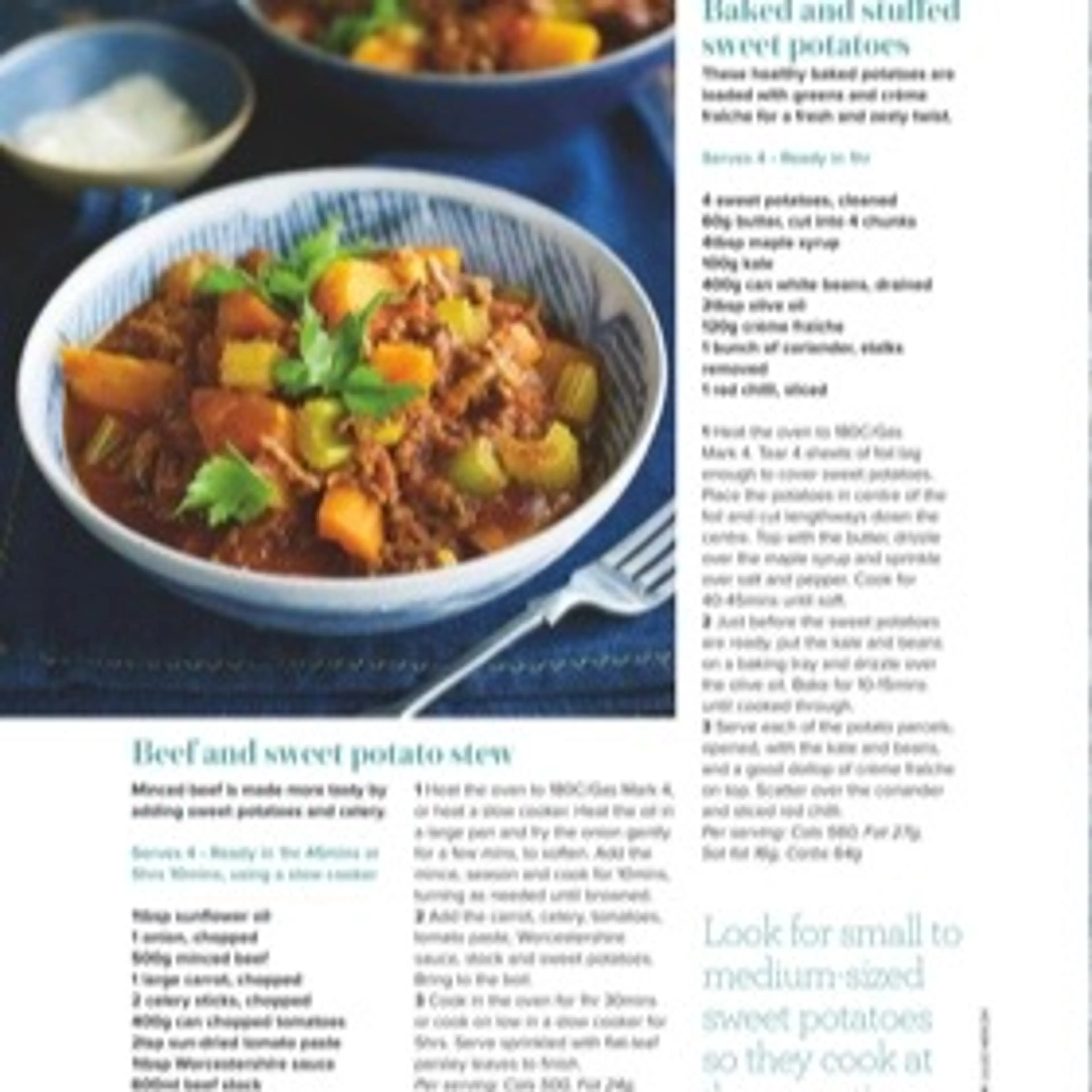 Beef and sweet potato stew