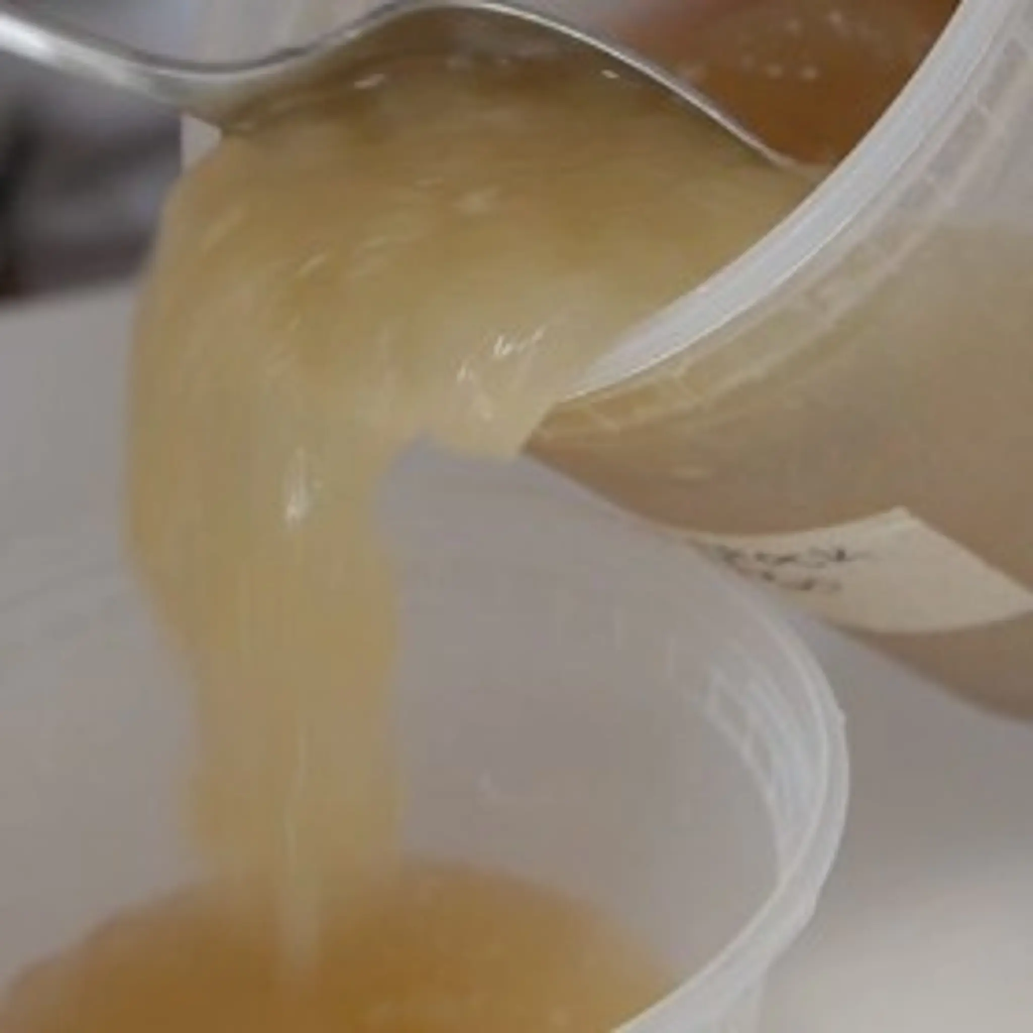 Jiggly "Not Bone Broth" Stock