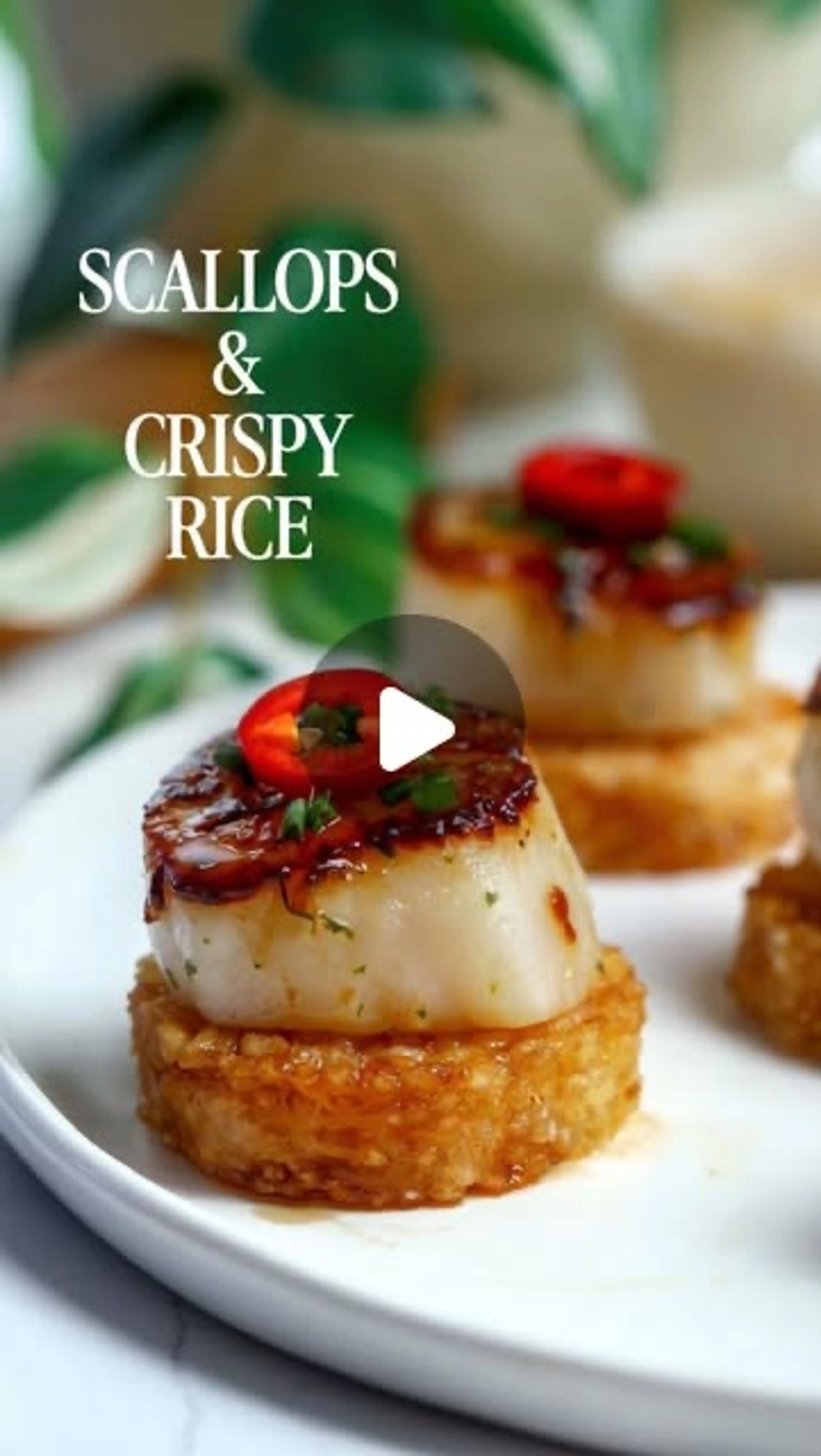 Scallops on  Crispy Rice Would Def Be a Menu Item in My Make