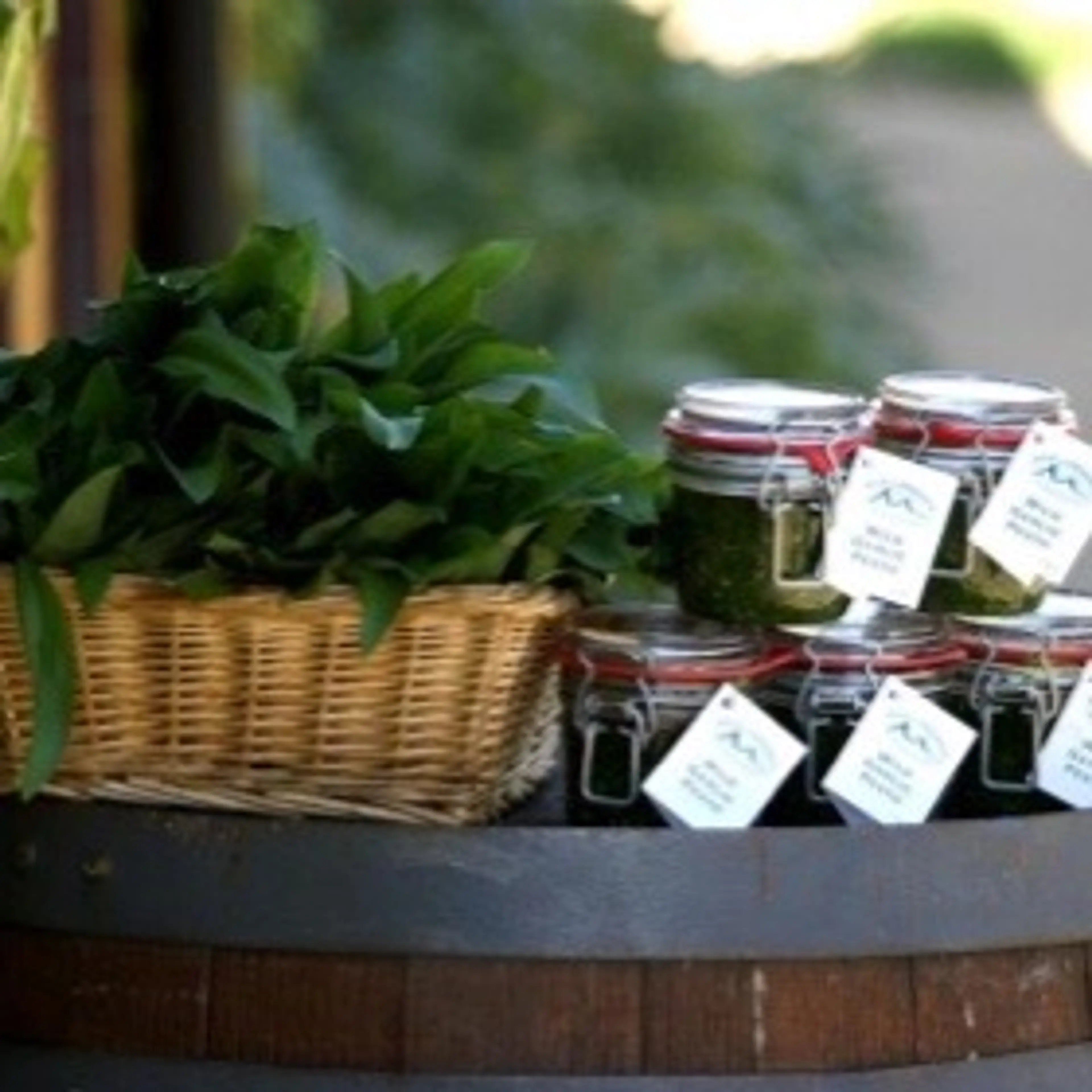 Wild Garlic Pesto