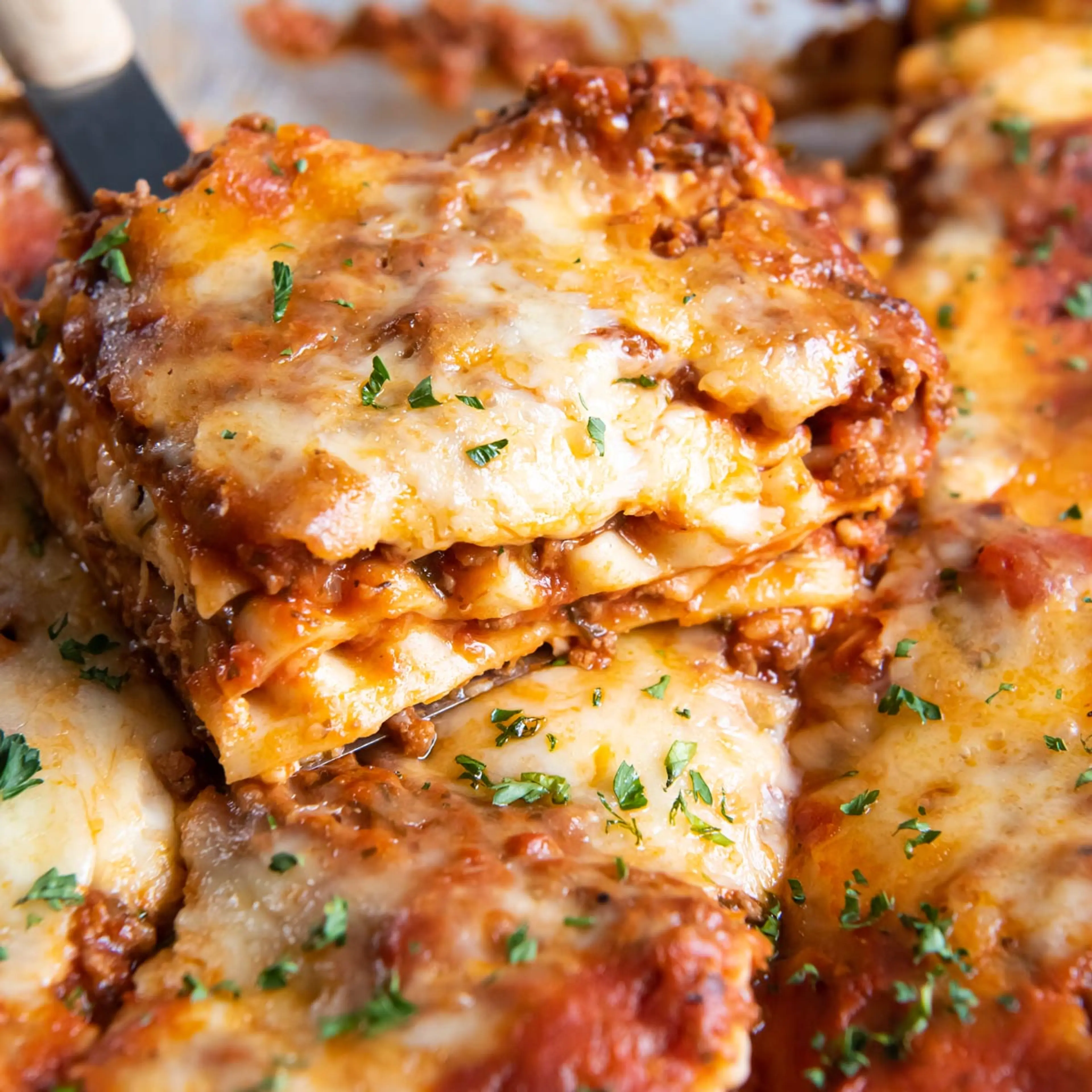 Lasagna Recipe