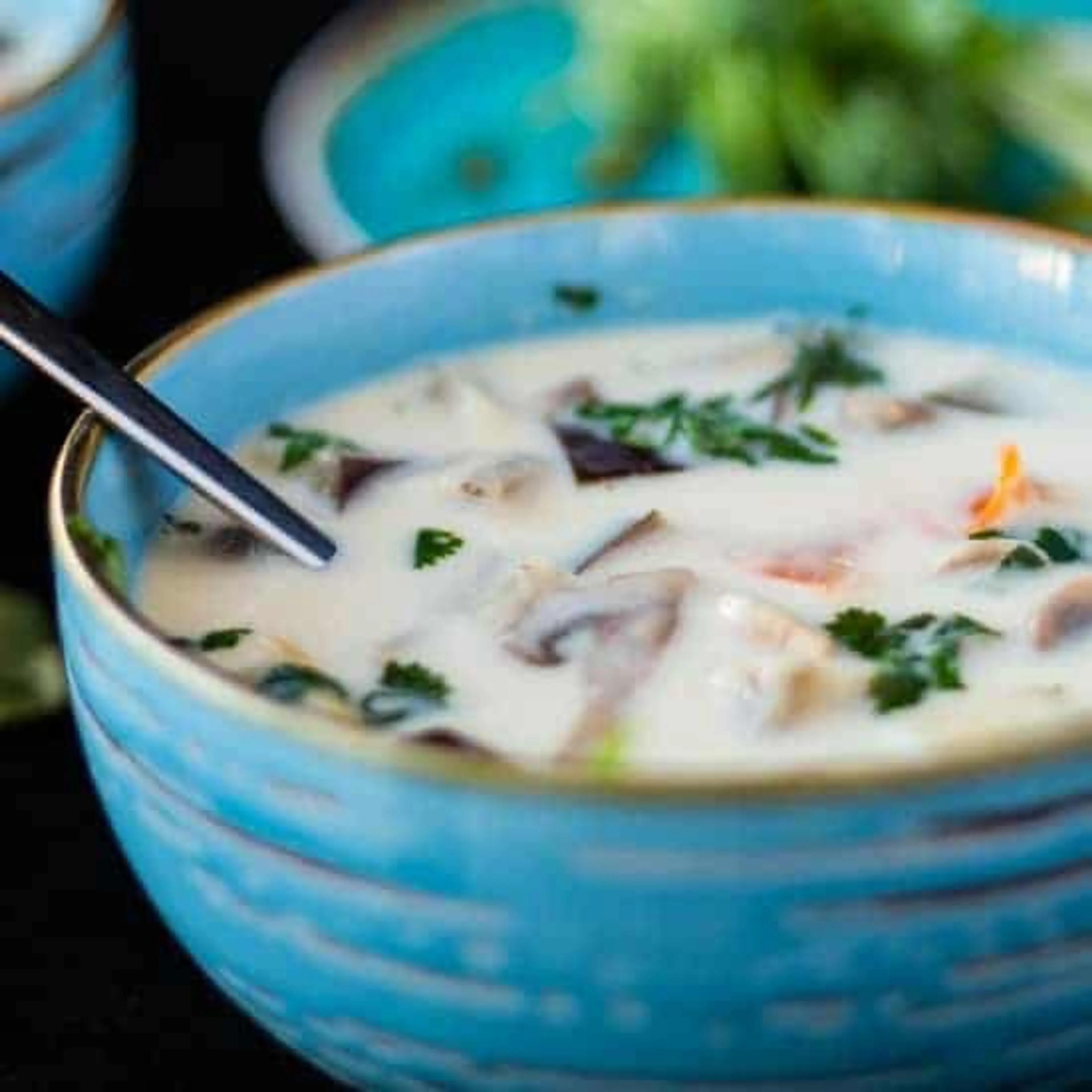 Thai Coconut Ginger Soup