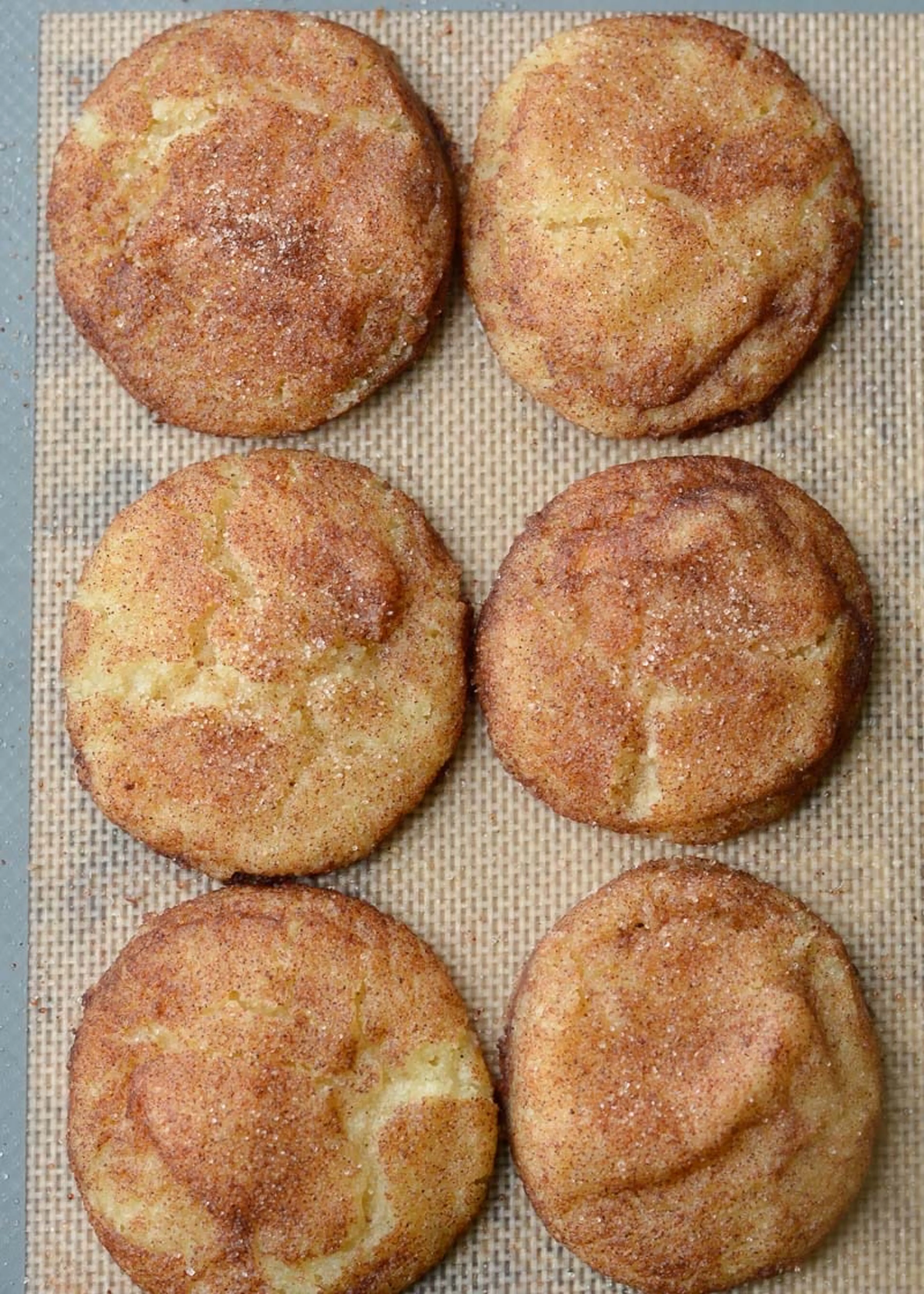 Keto Snickerdoodles