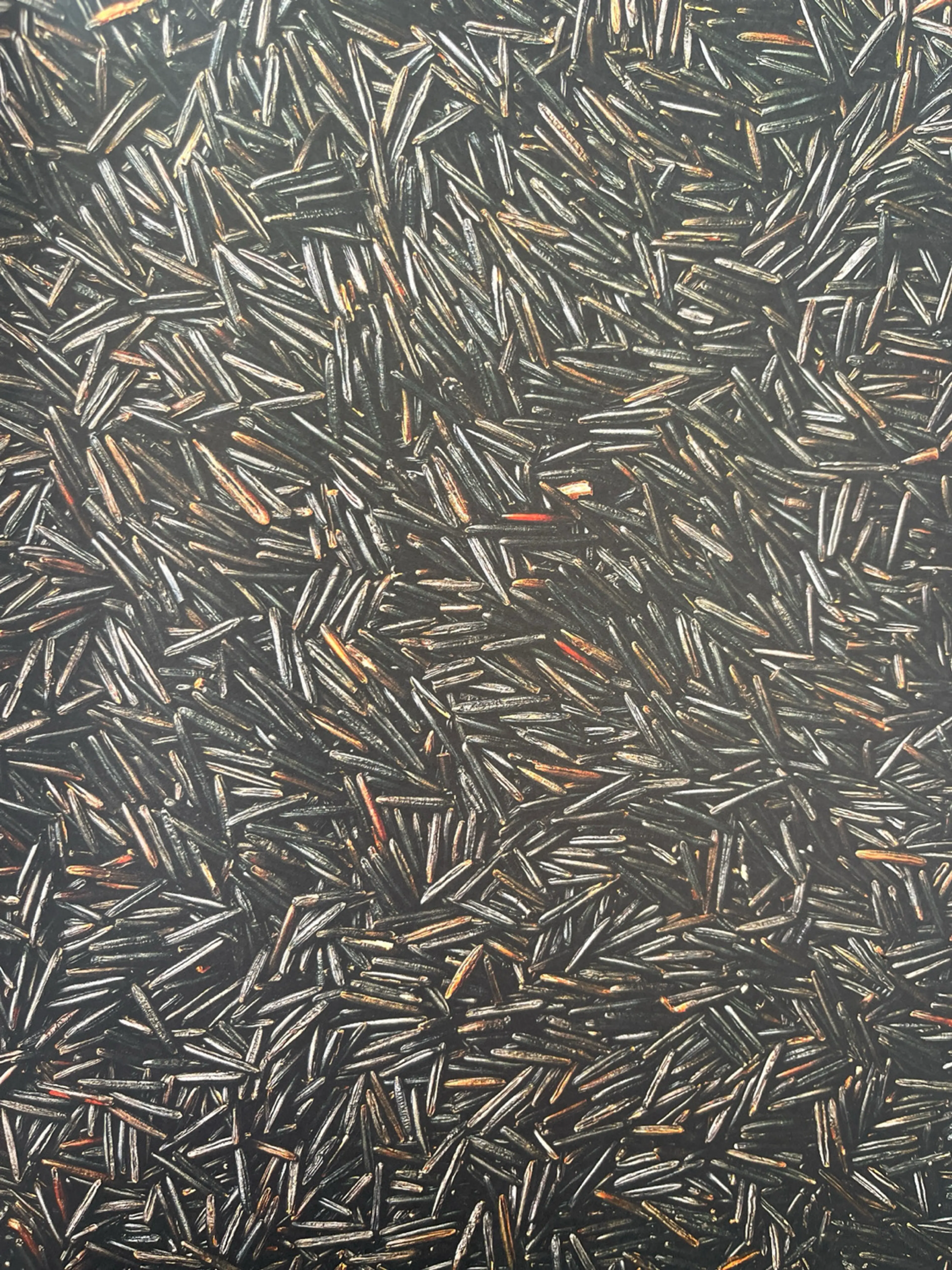 Wild Rice