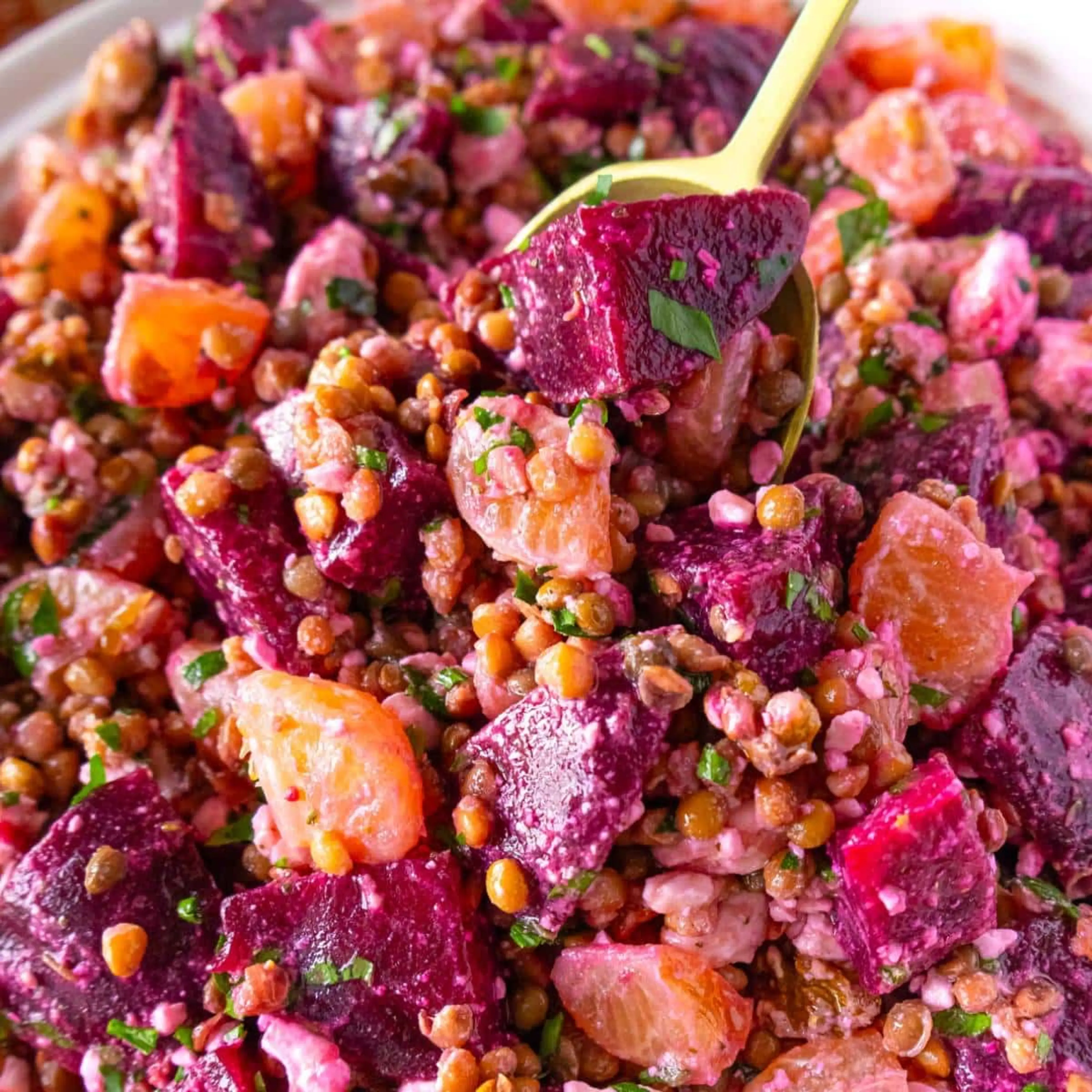 Lentil Beet Salad (Greek Inspired)
