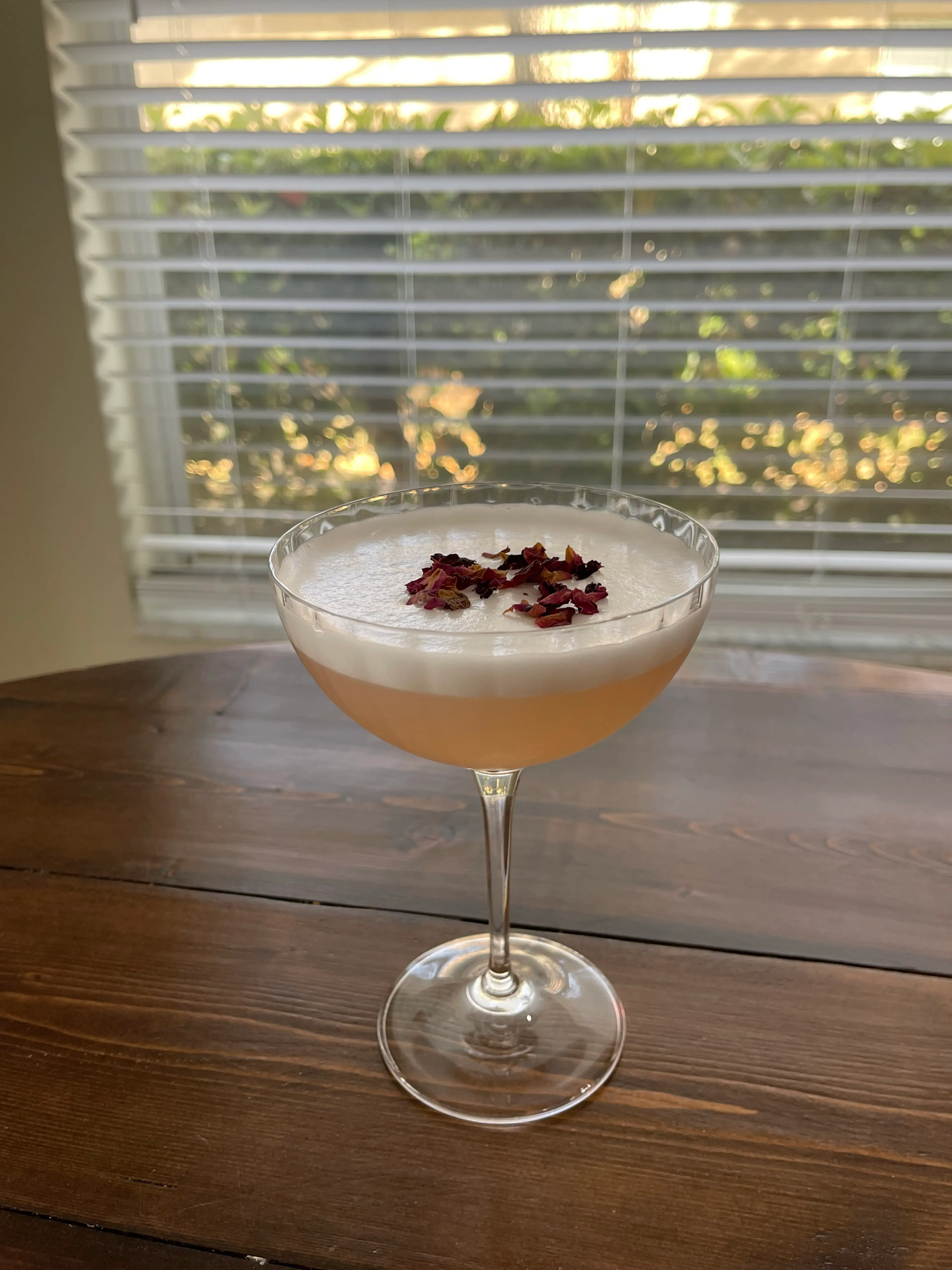 Gin Sour