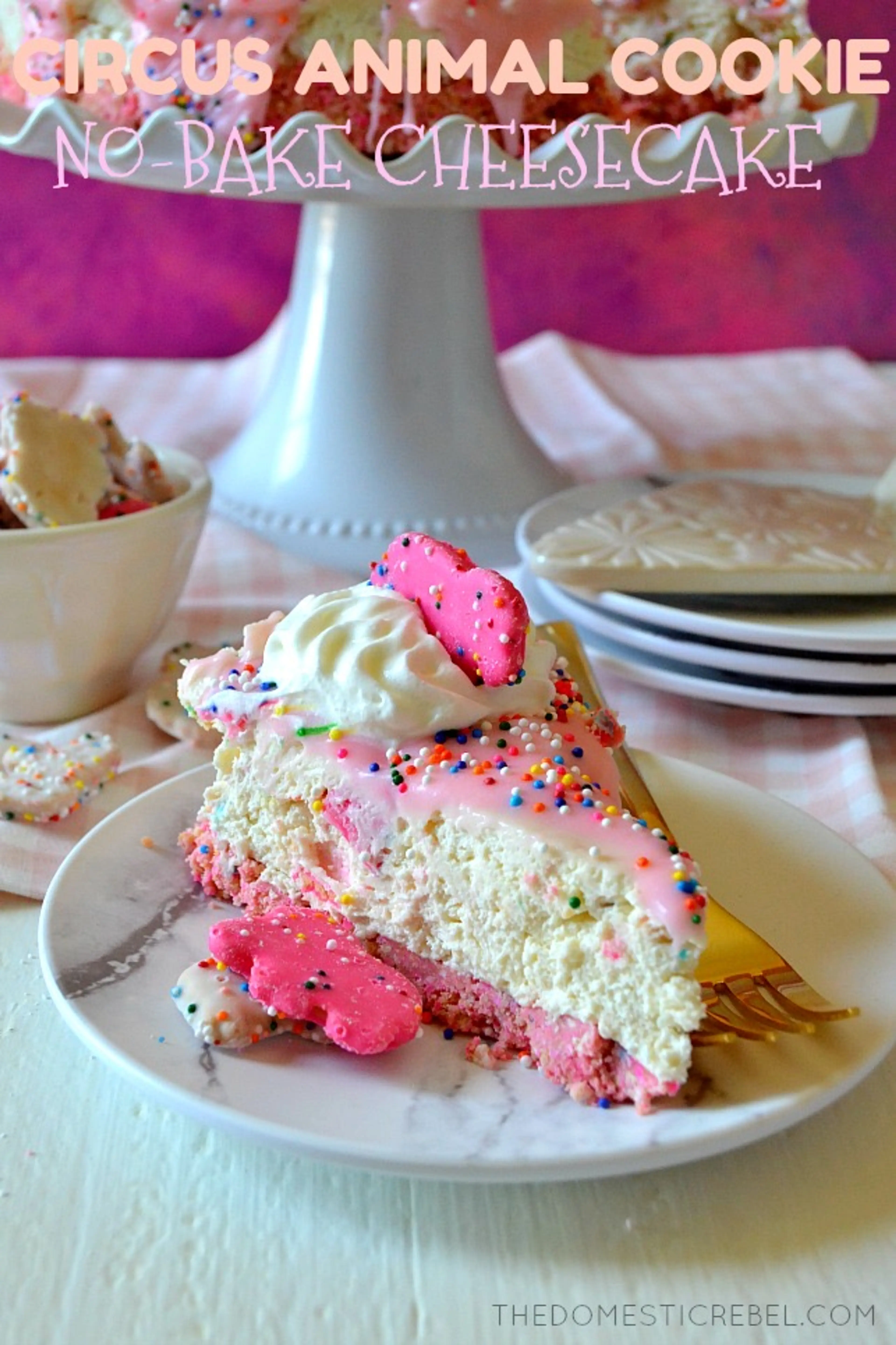 No-Bake Circus Animal Cookie Cheesecake