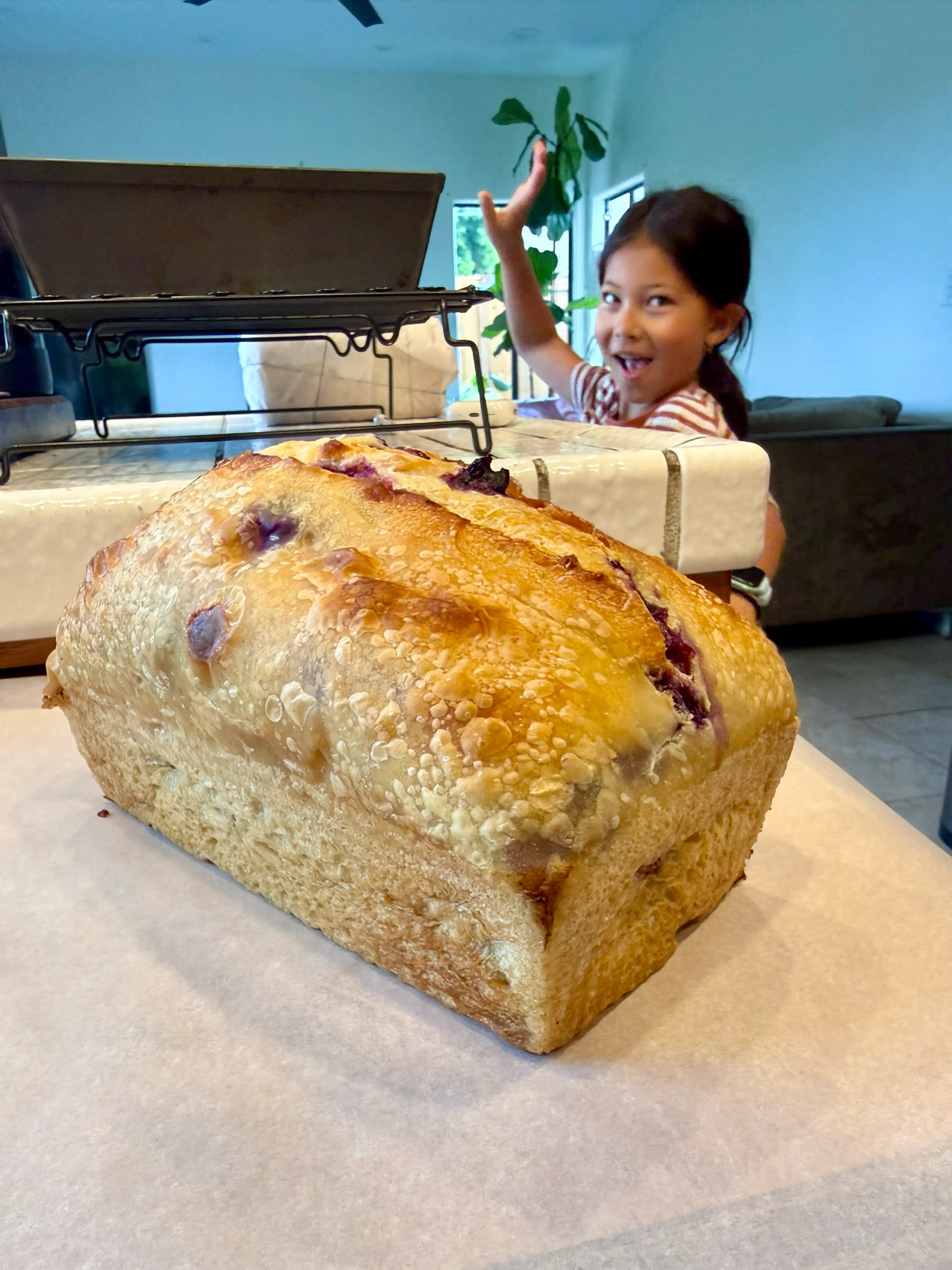 Lemon Blueberry Sourdough Loaf - @hifisamurai