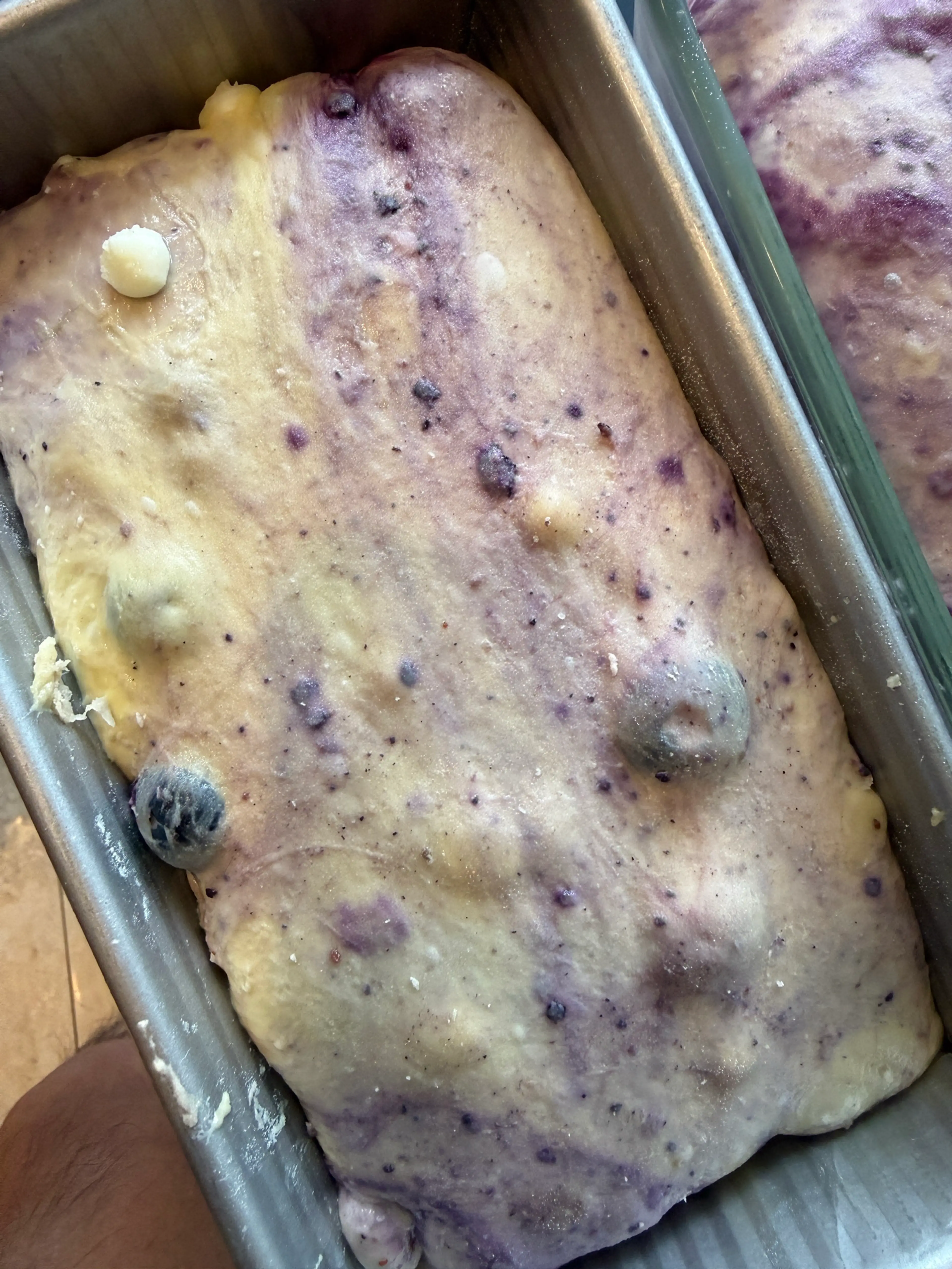 Lemon Blueberry Sourdough Loaf - @hifisamurai
