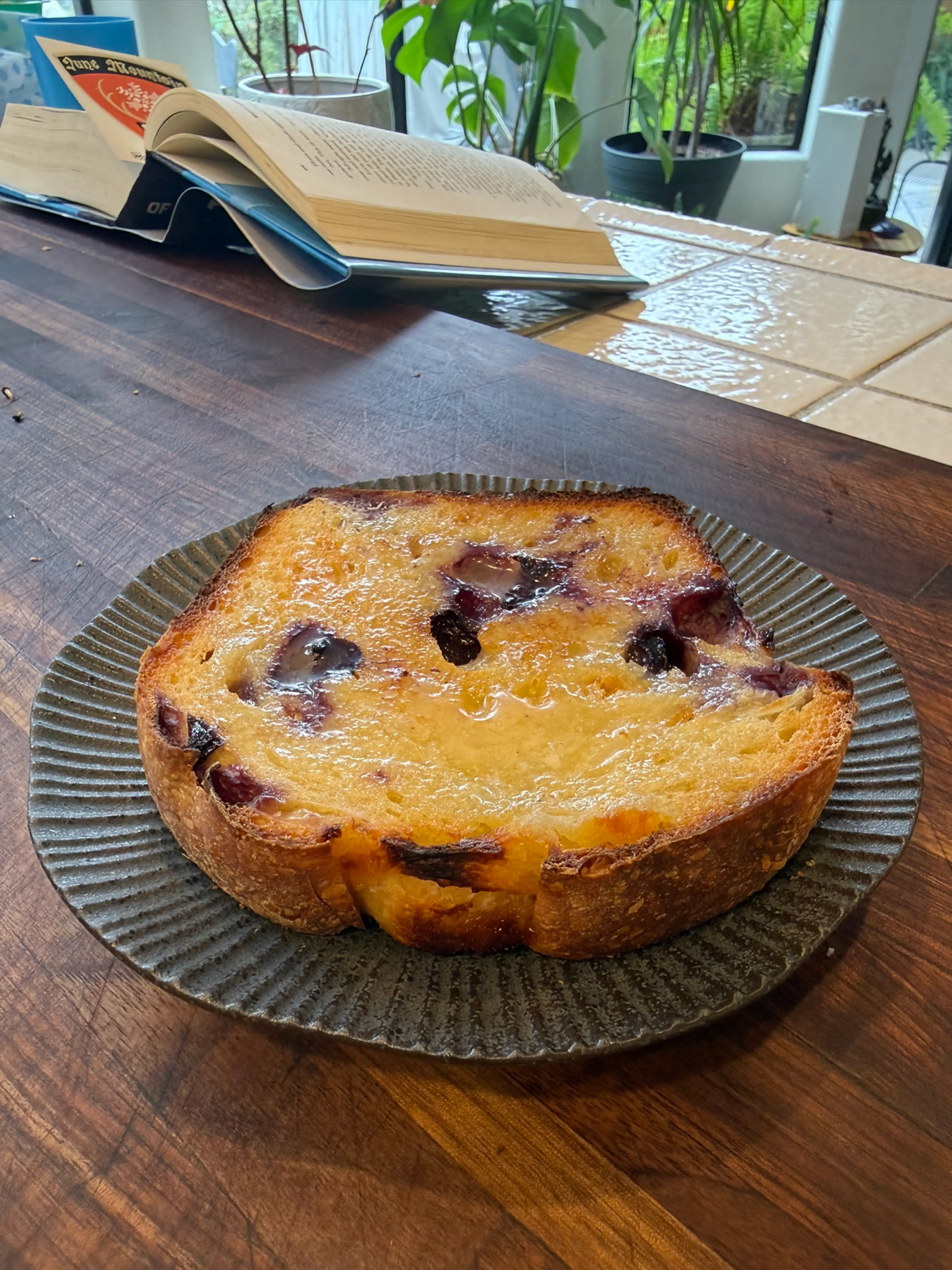 Lemon Blueberry Sourdough Loaf - @hifisamurai
