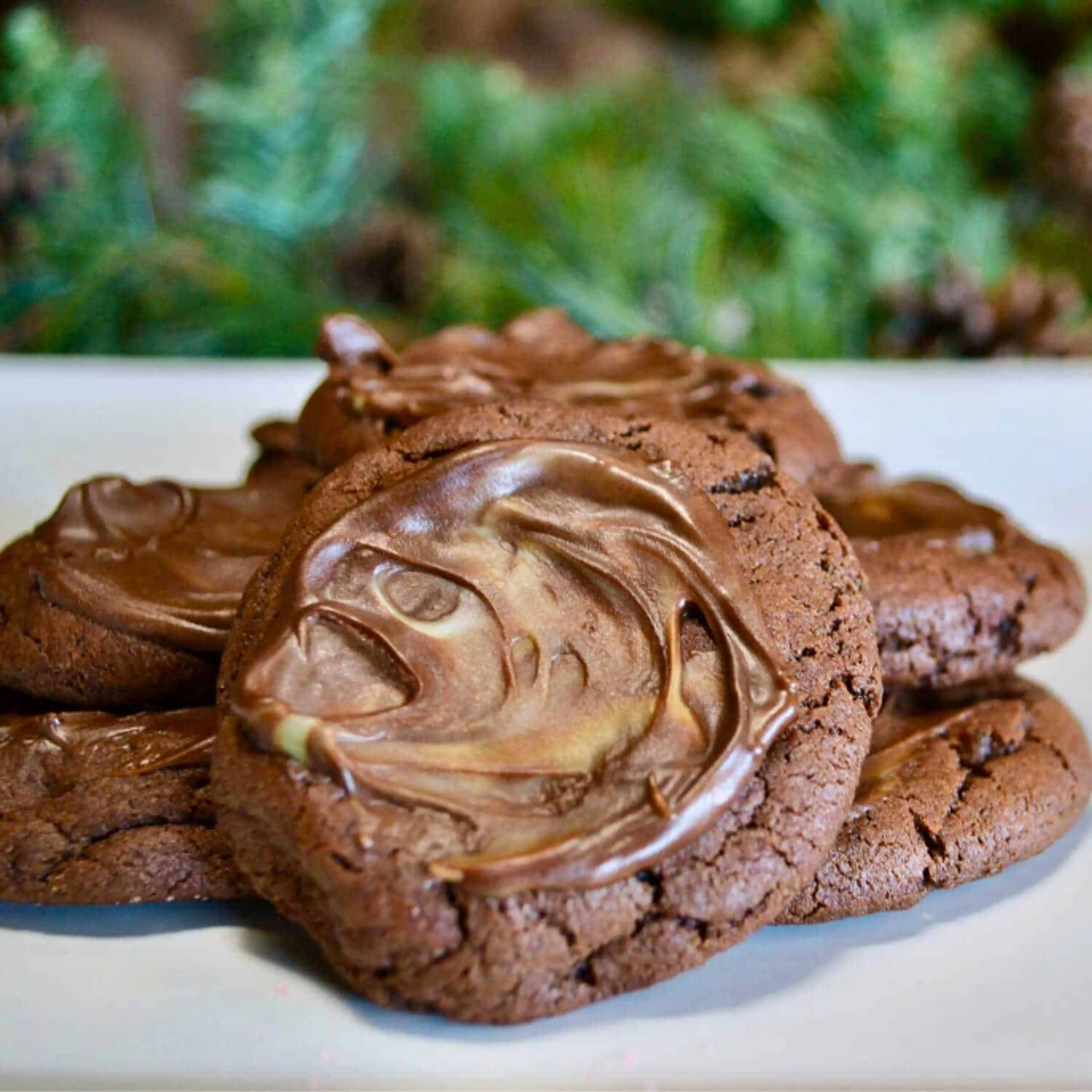 Andes Mint Chocolate Cookies
