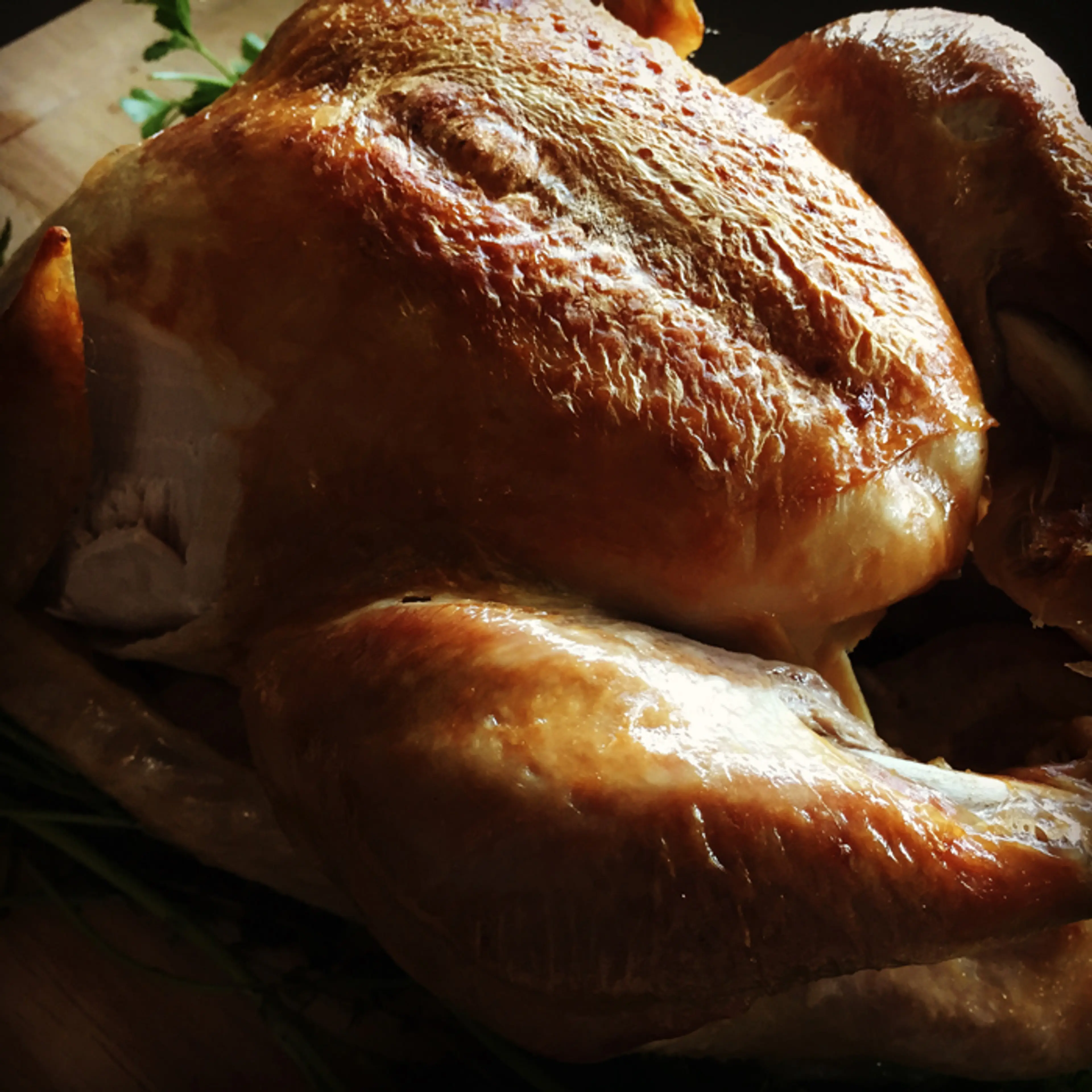 Good Eats Roast Turkey